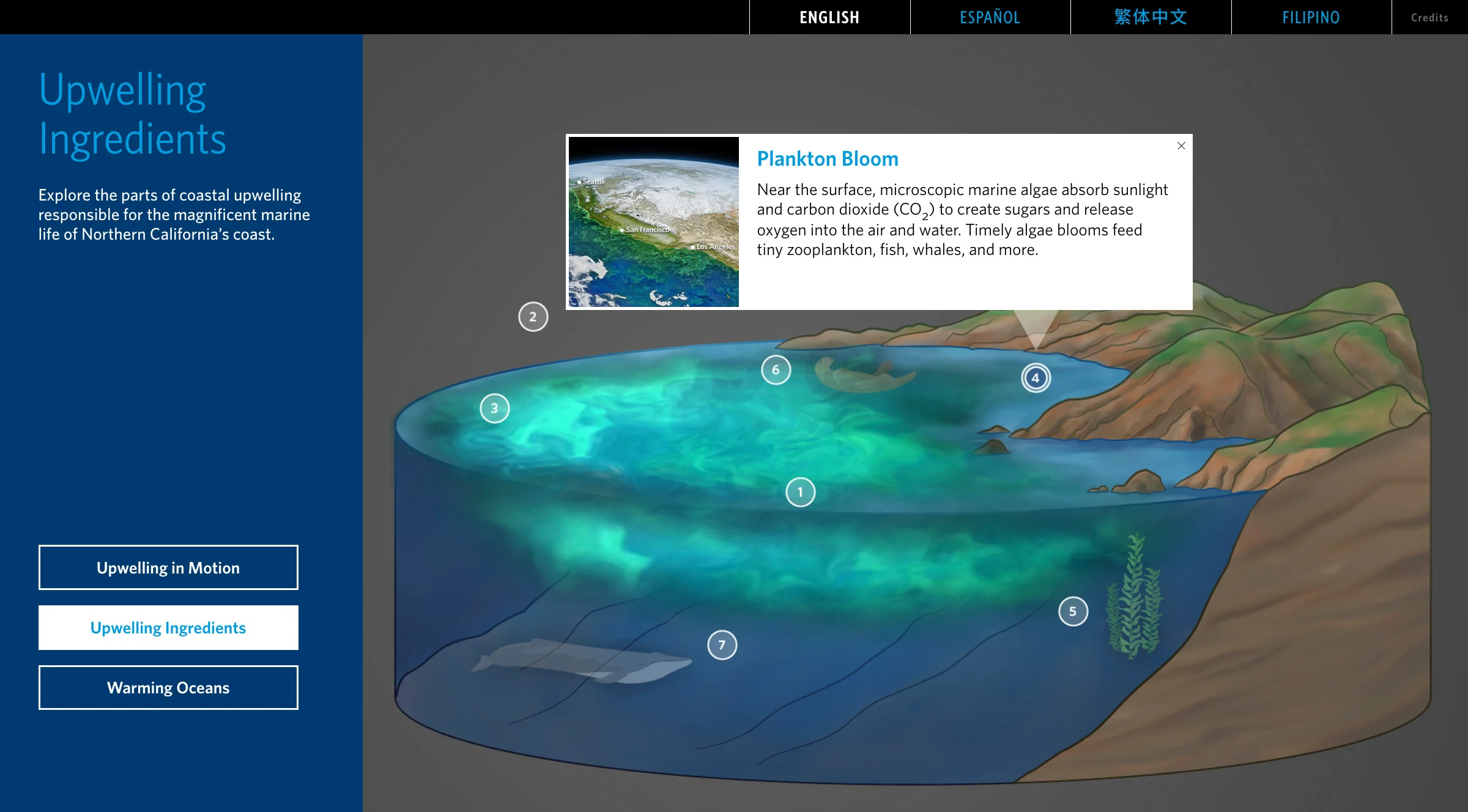 upwelling-upwelling_ingredients-4.jpg