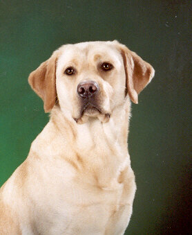 FanniePortrait.jpg