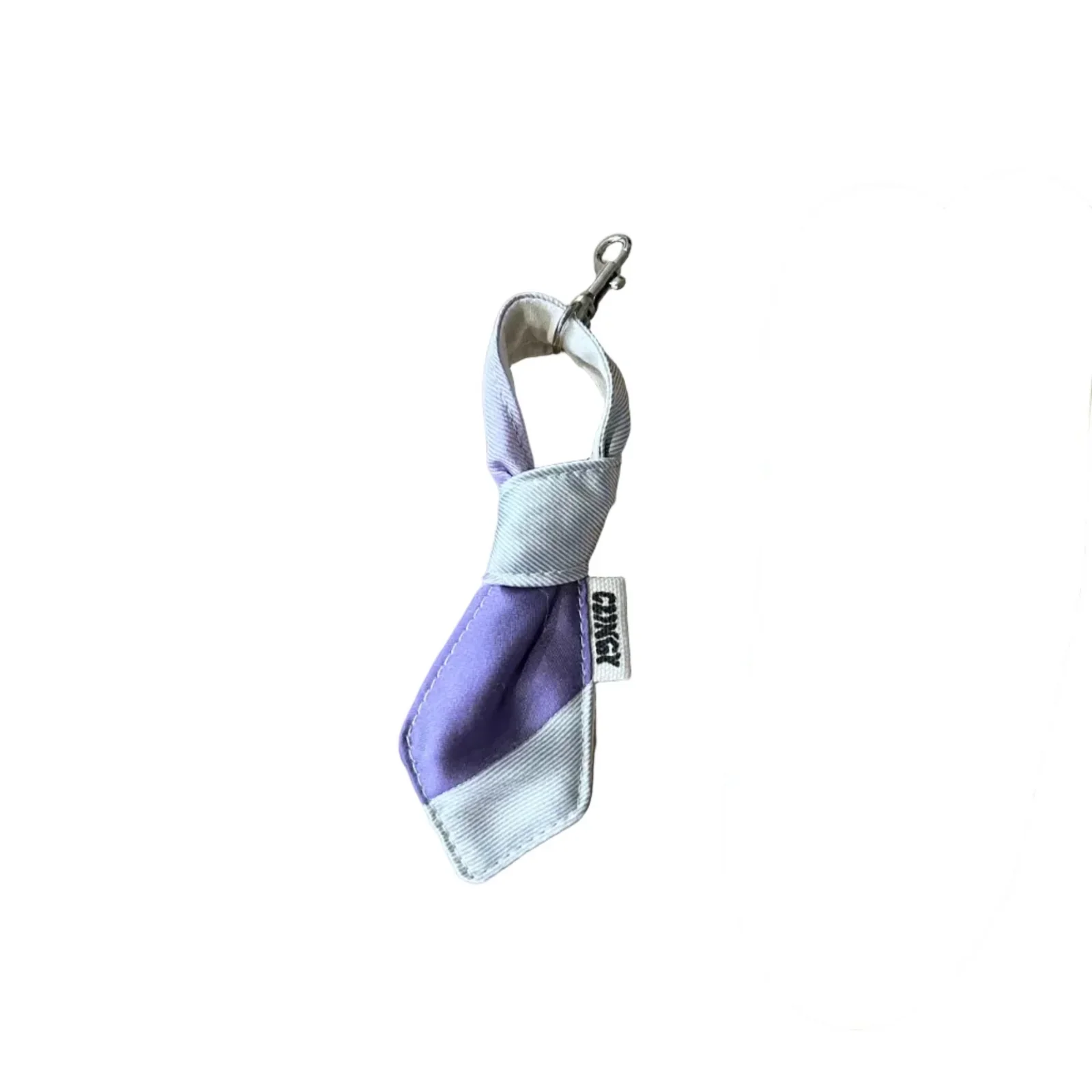 Clingy Junior Tie Keychain