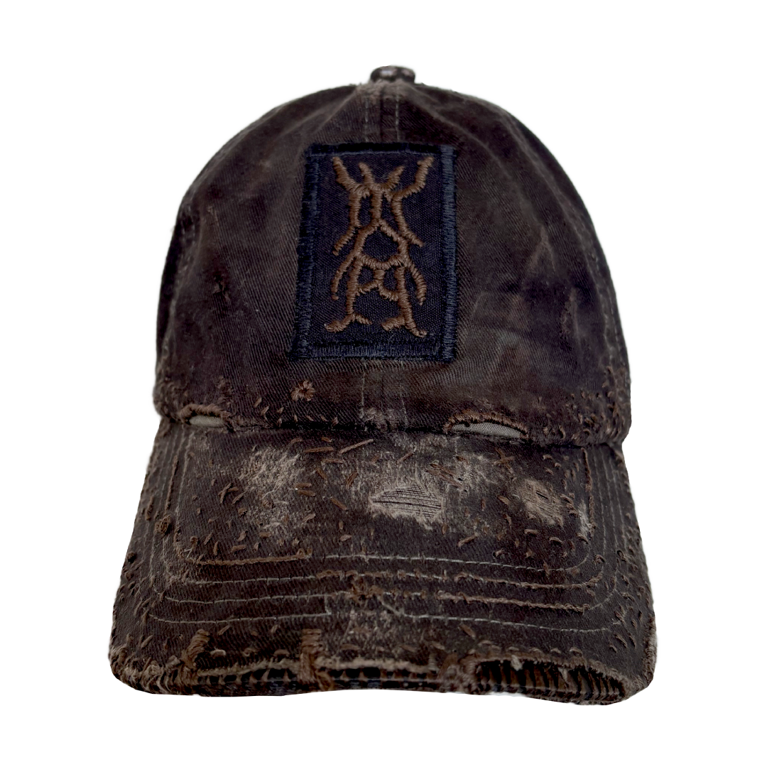 front_Reworked Cap 5_June 2025_.png