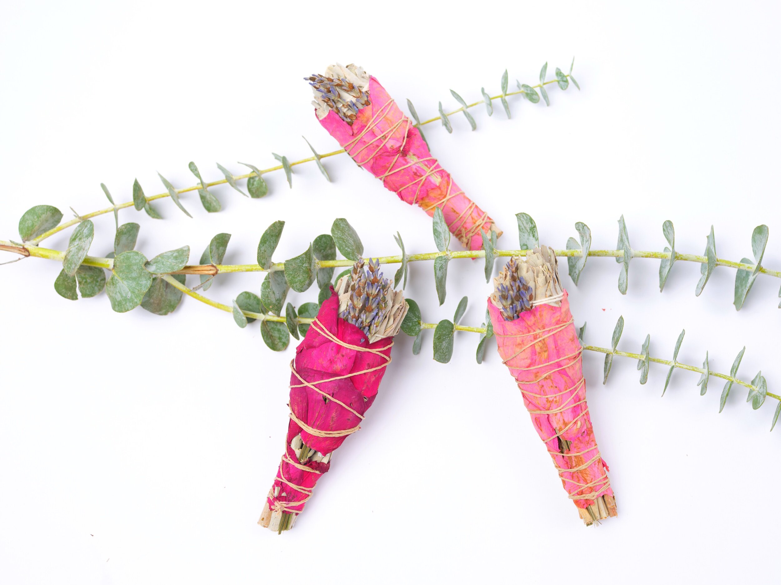 2DB0C271-F662-45B8-9D85-A82781945A8A