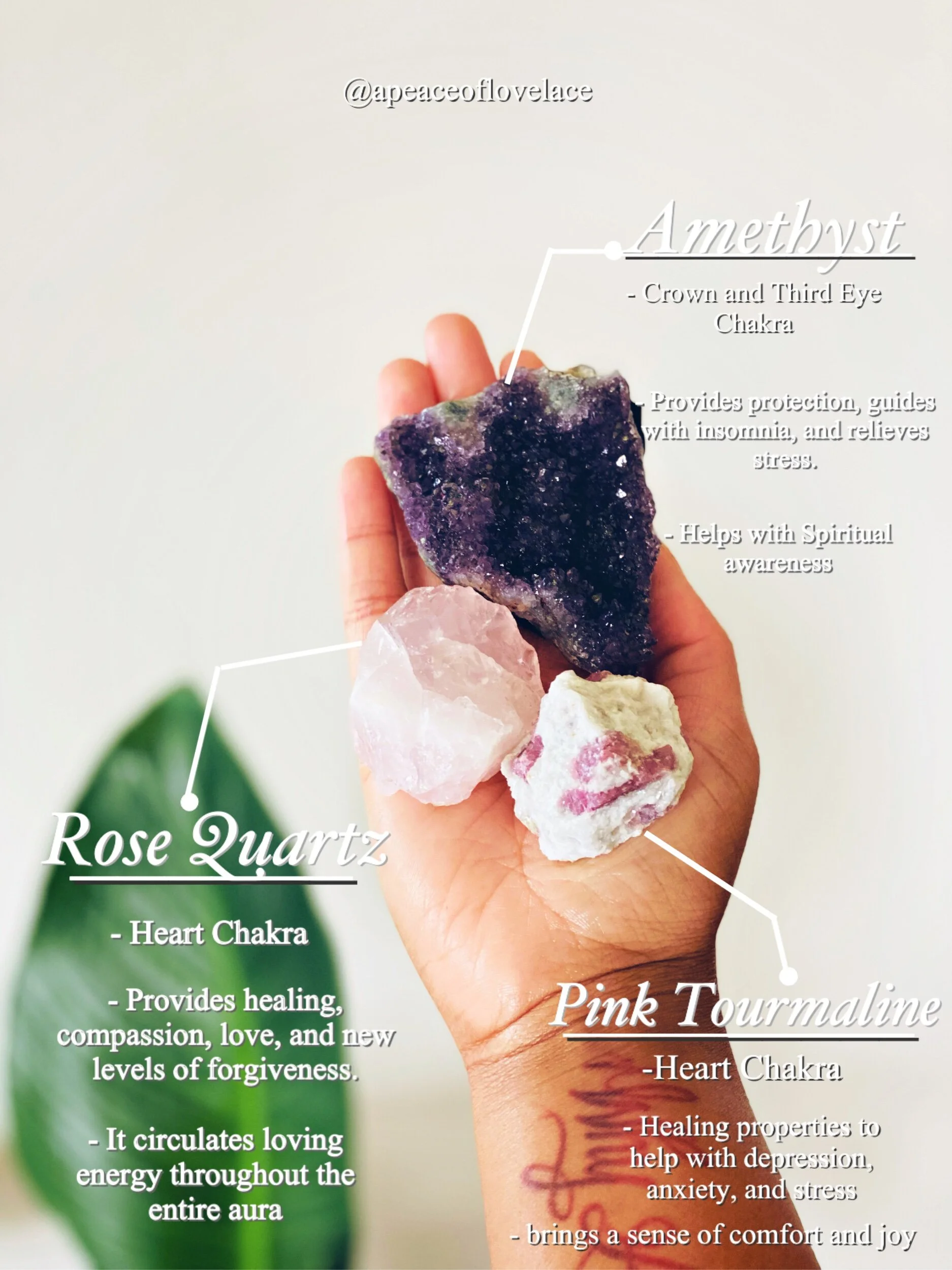 C14FEA2B-C7AA-4057-A0DD-67BDB8E2B7A0