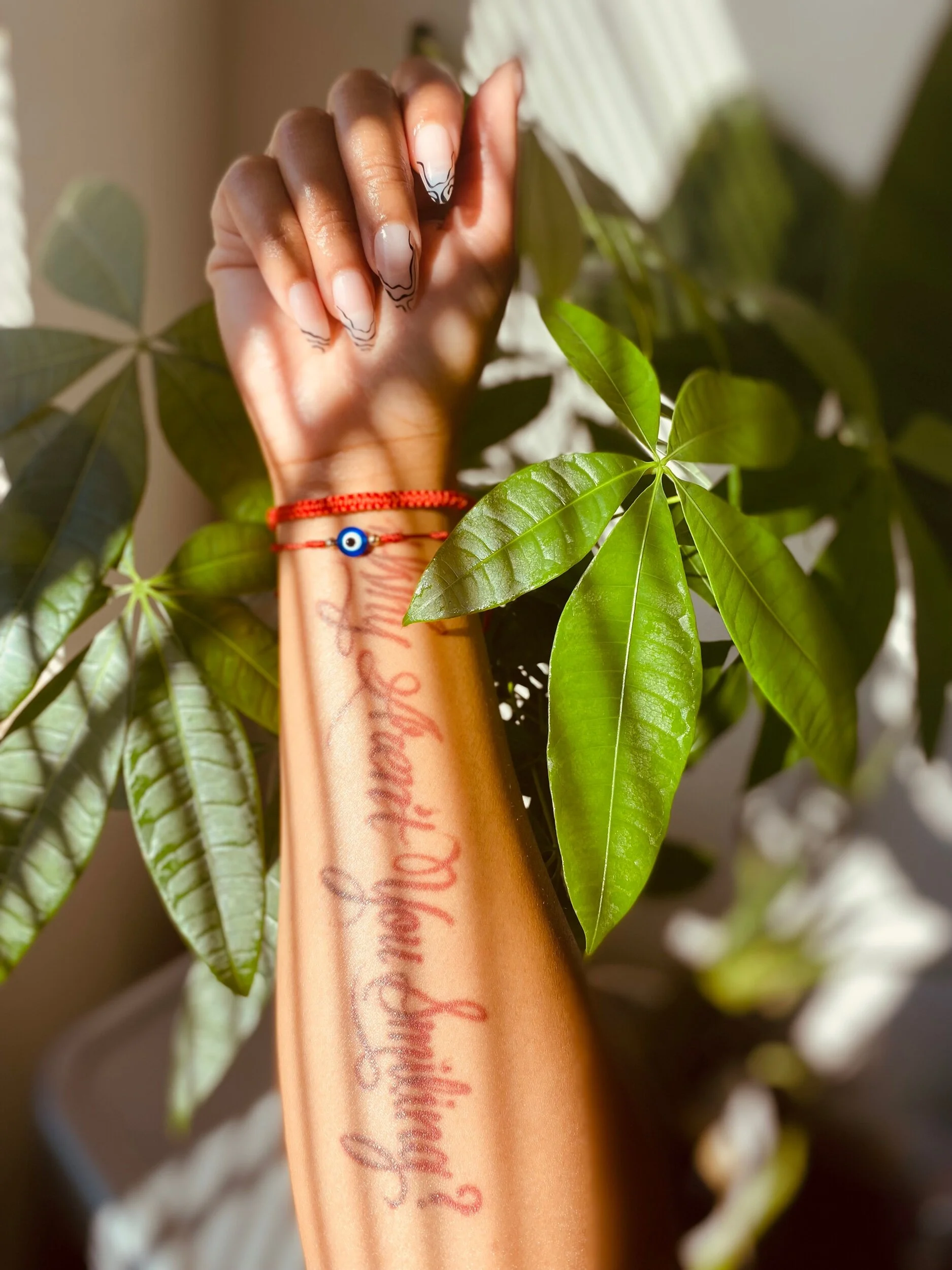 DFBAA7A4-0C9C-42F5-95A9-57030F74C581