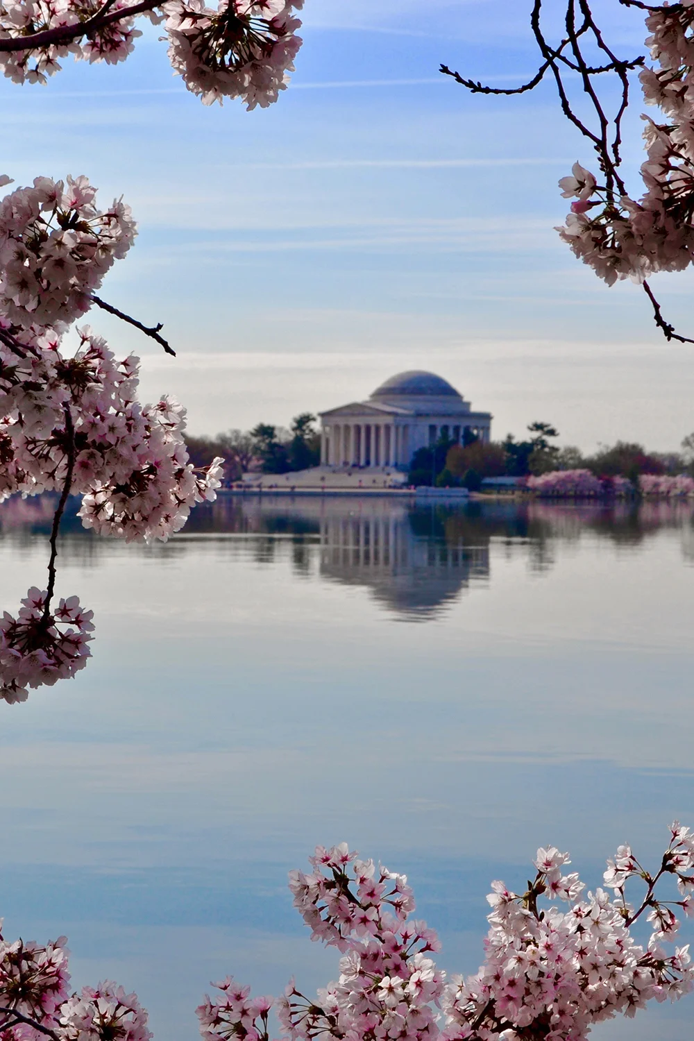 dc.jpg