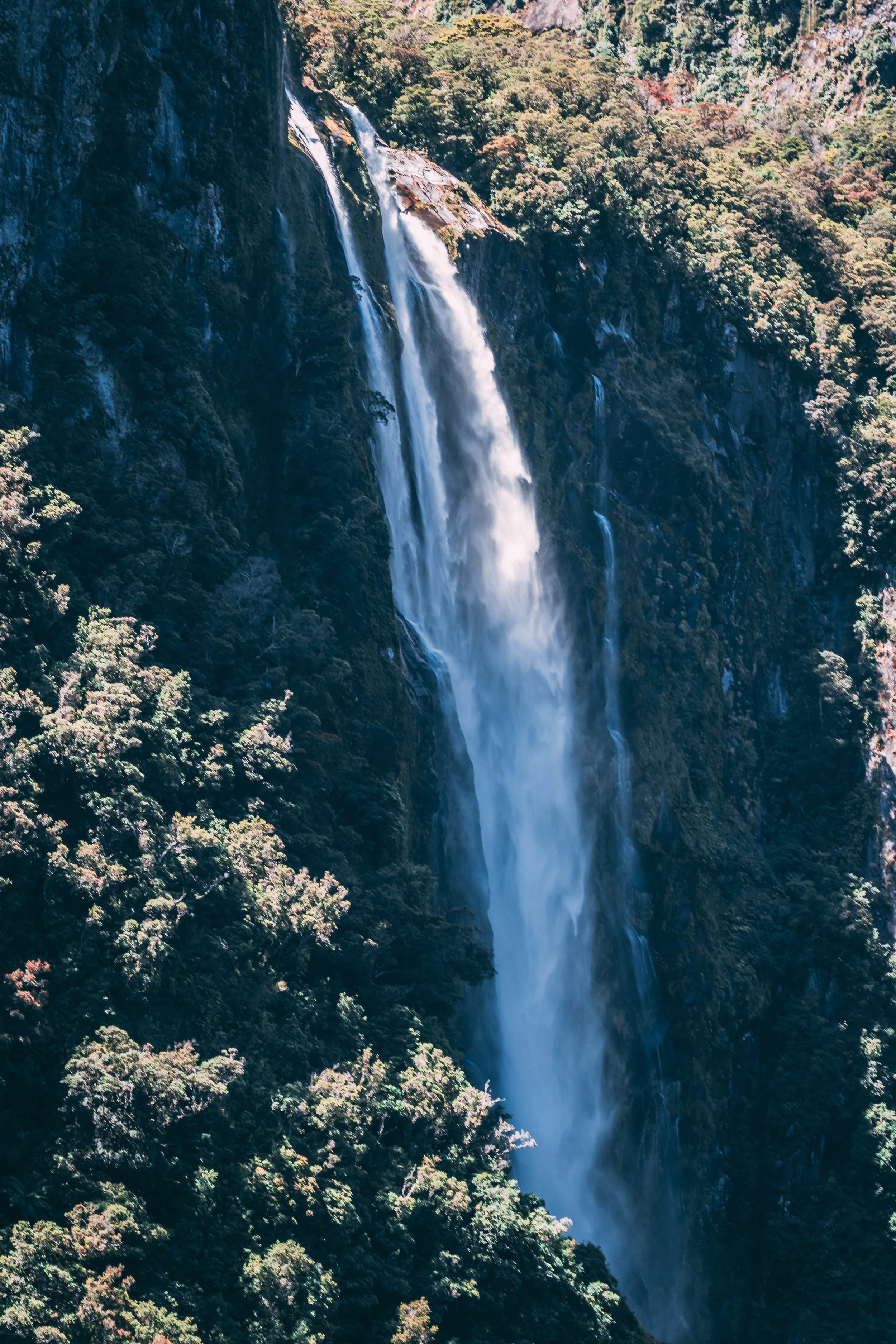 QueensTownBangers-57.jpg