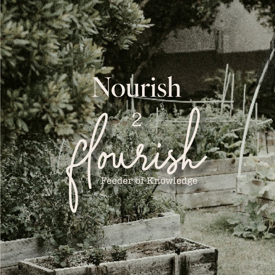 Nourish+2+flourish-+Instagram+showcase-03.jpg