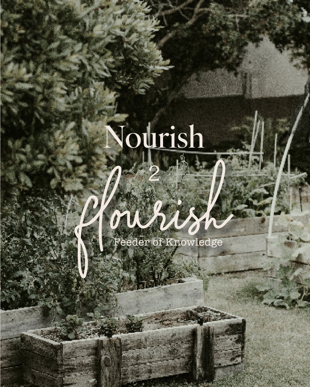 Nourish 2 flourish- Instagram showcase-03.jpg