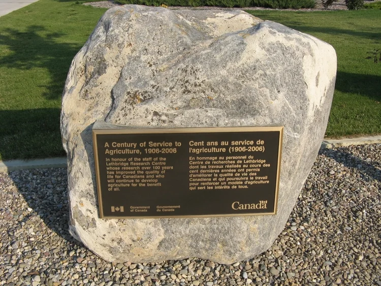 Century Tree Plaque