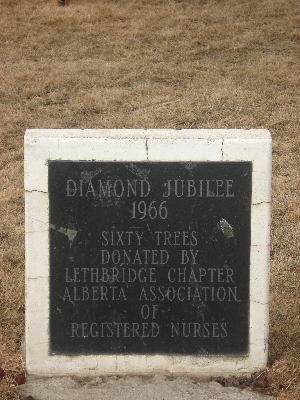 Diamond+Jubilee+AARN+3.png