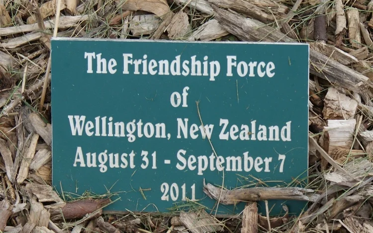 New+Zealand+for+website.jpg