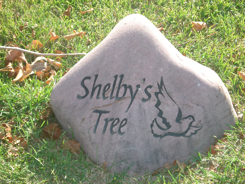 Shelbys+tree+6.png