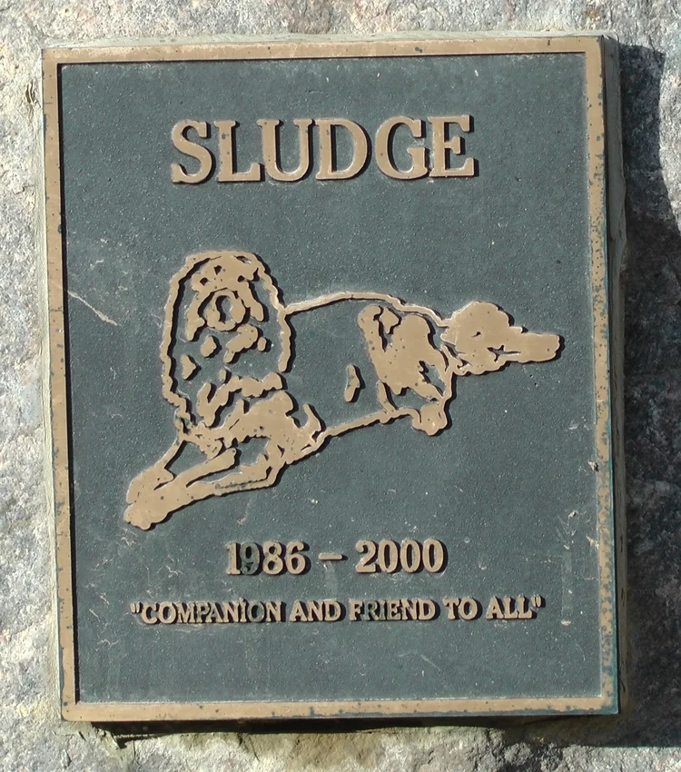 Sludge.jpg