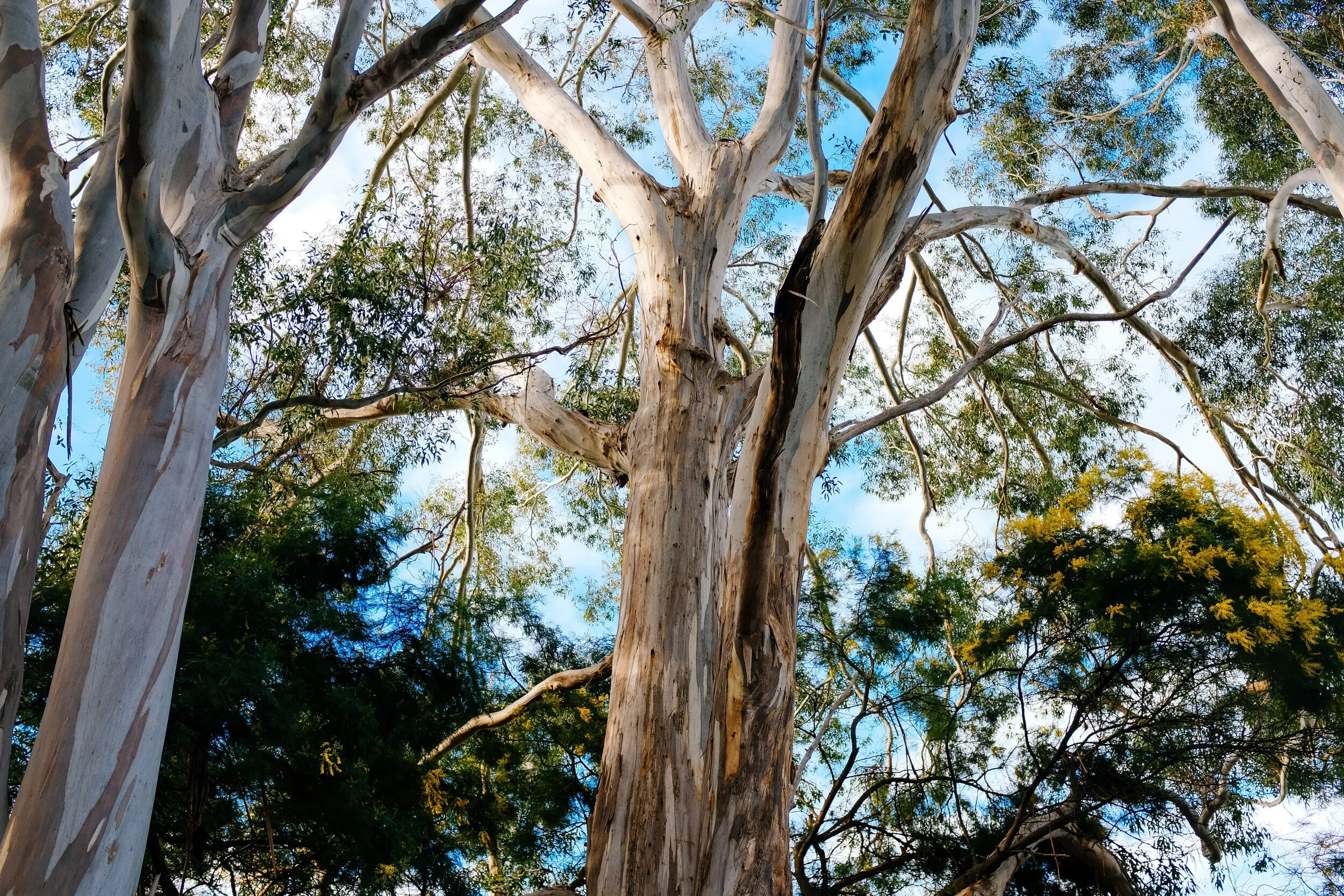 adrien-olichon-qt9QqX7HADw-unsplash.jpg