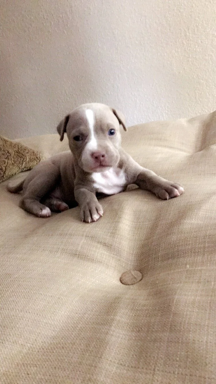 IMG_2158.JPG
