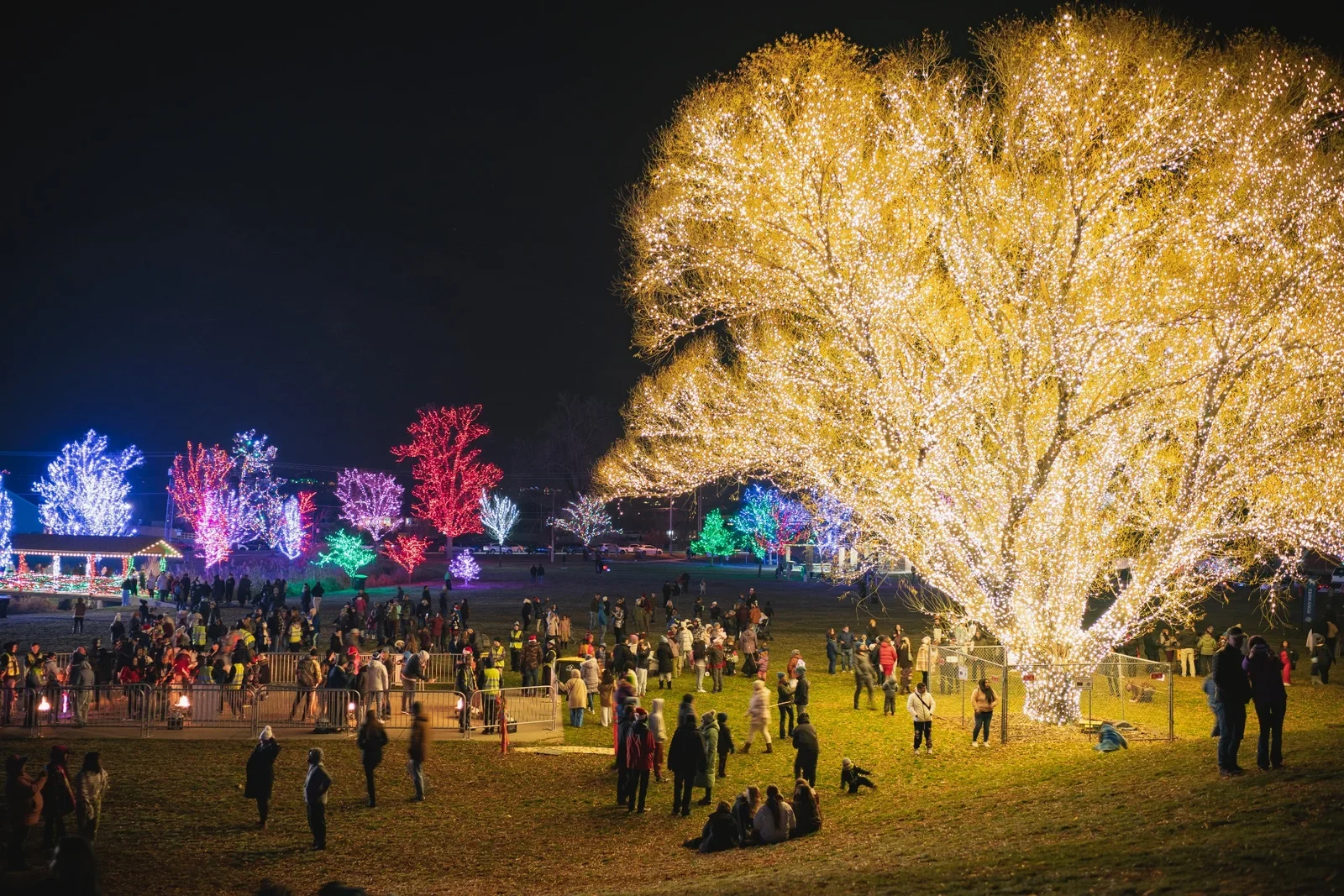 people in park with holiday lights