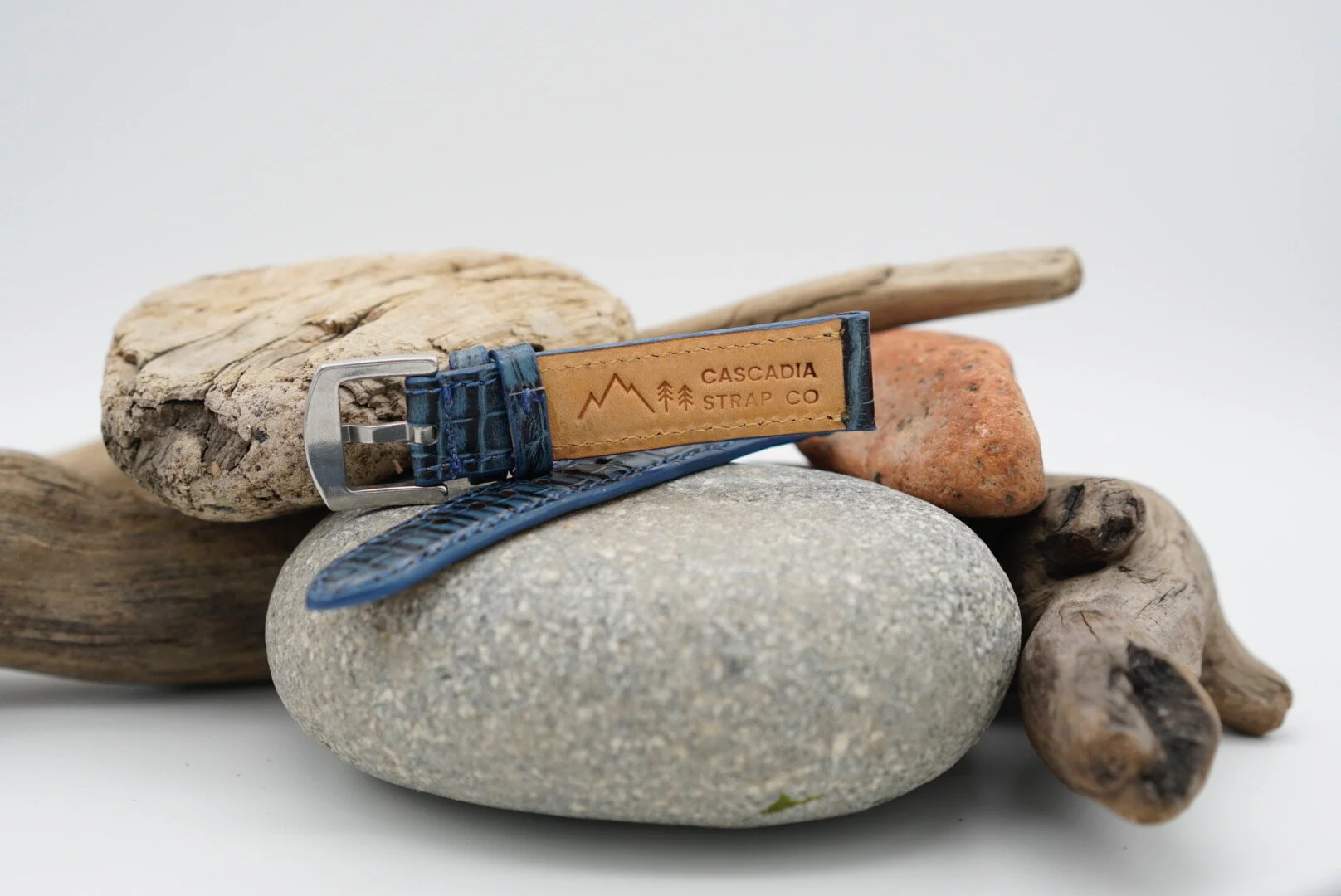 C1C763FE-6B5B-49E3-A808-963C9766CD12