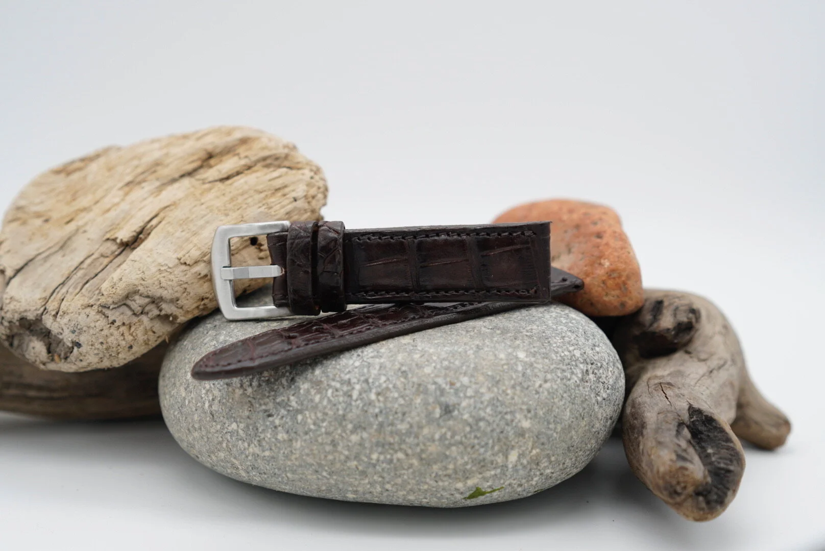 474711E1-74D4-4A1B-B7E4-319C8E851DF0