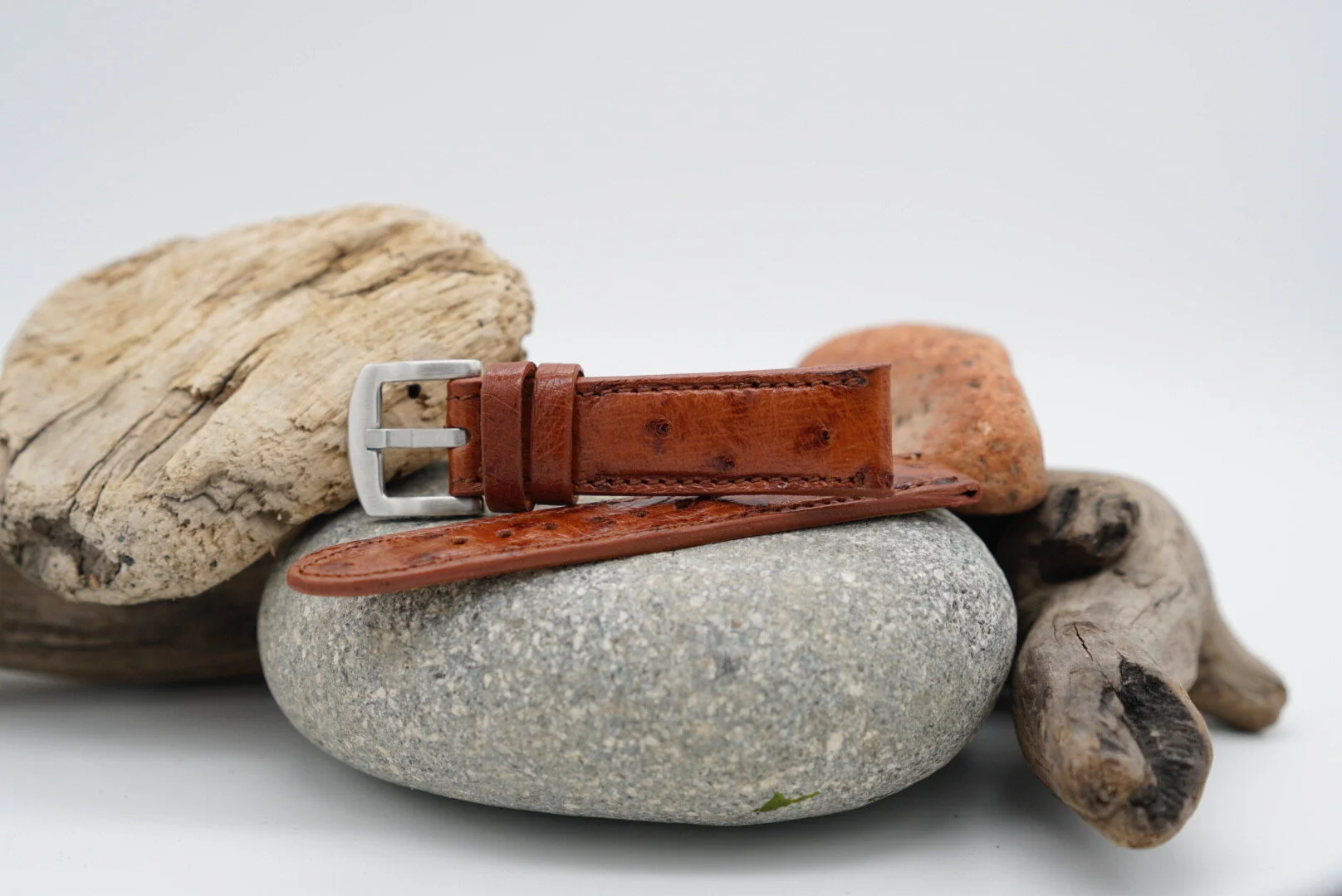 5C1AAB12-F8FF-4A57-8C39-1C004A826E74