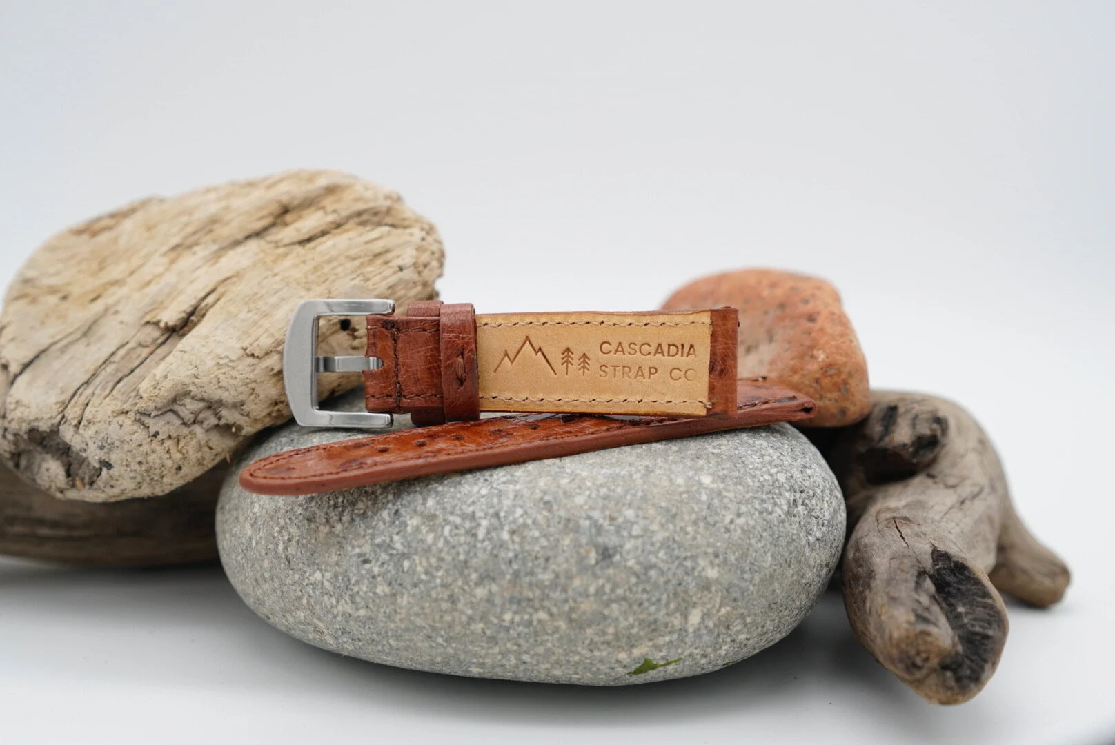 3F55558B-EF77-461E-A0C7-DE953F0A4C2C