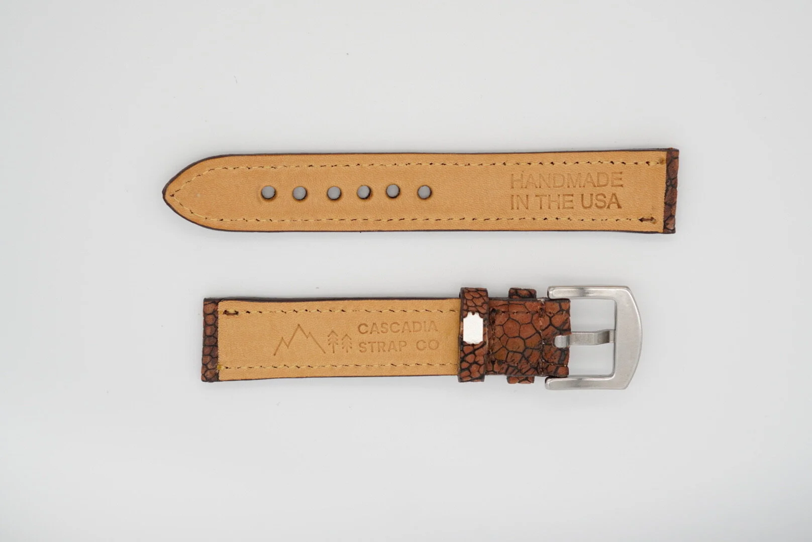 DDA535D2-2609-418C-A5B8-24CE2075CCA4