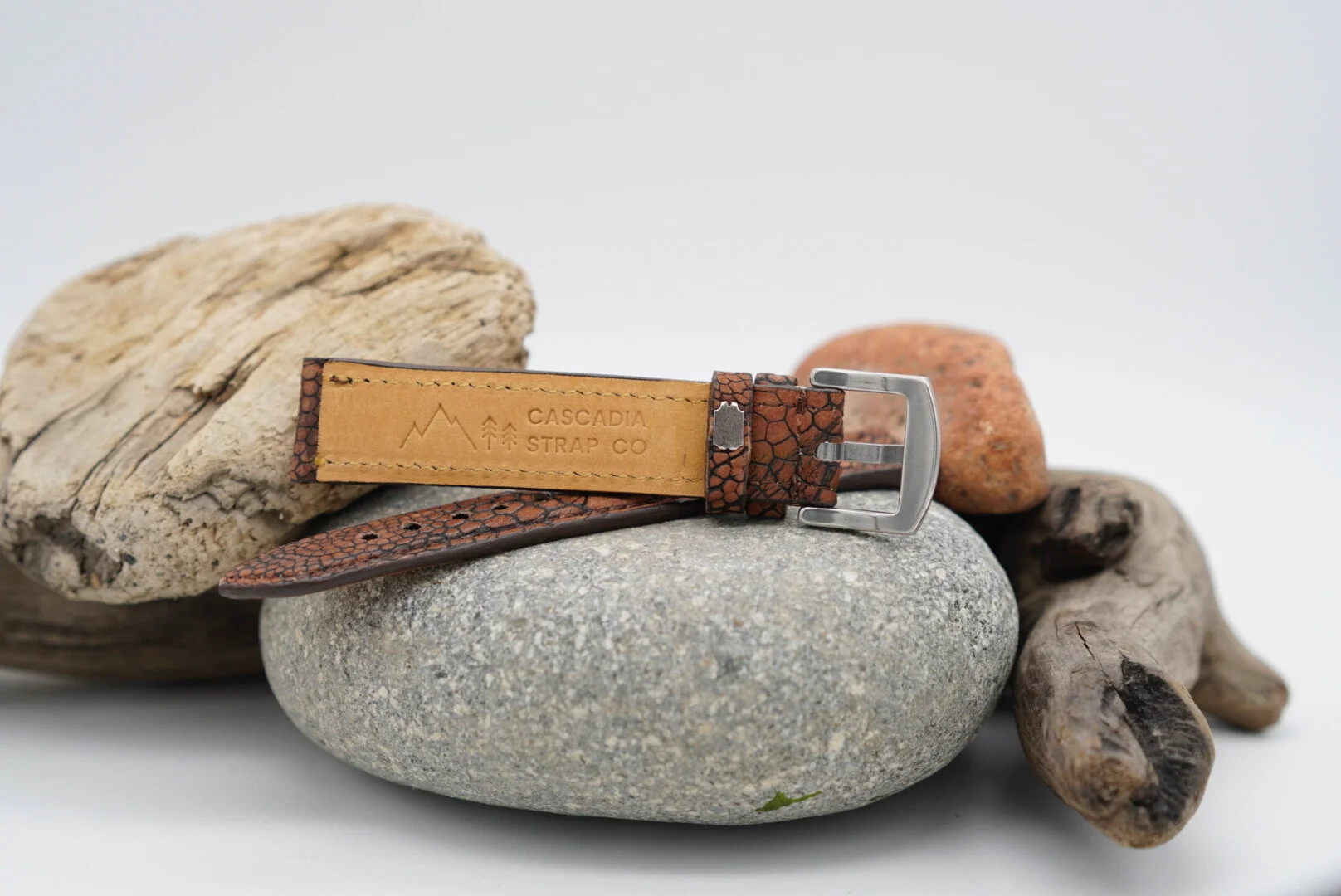 6C5121F8-C4D5-46CF-A8B9-5DAFCF852408