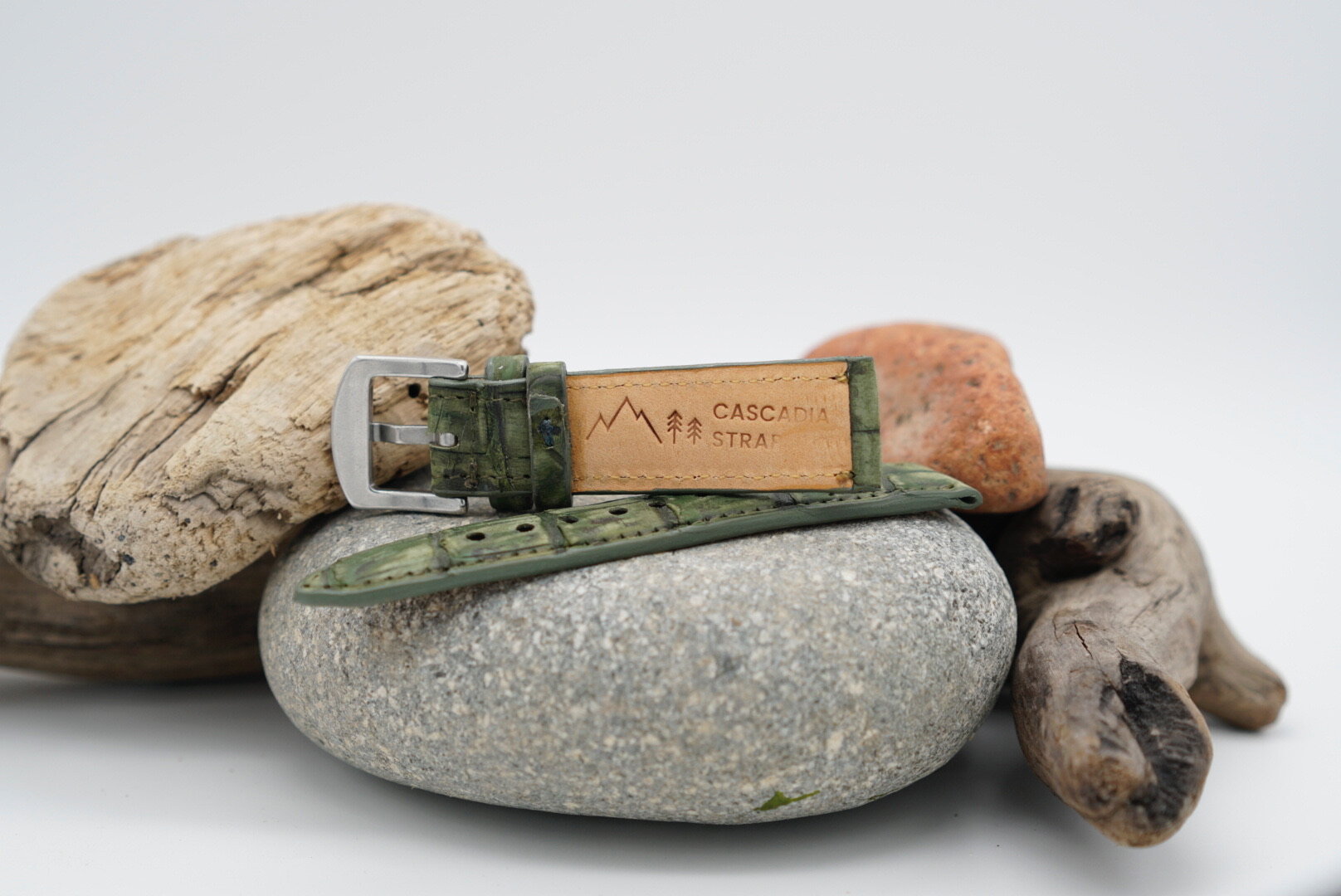 11CC0119-A480-4FBC-BE72-FB107F000912