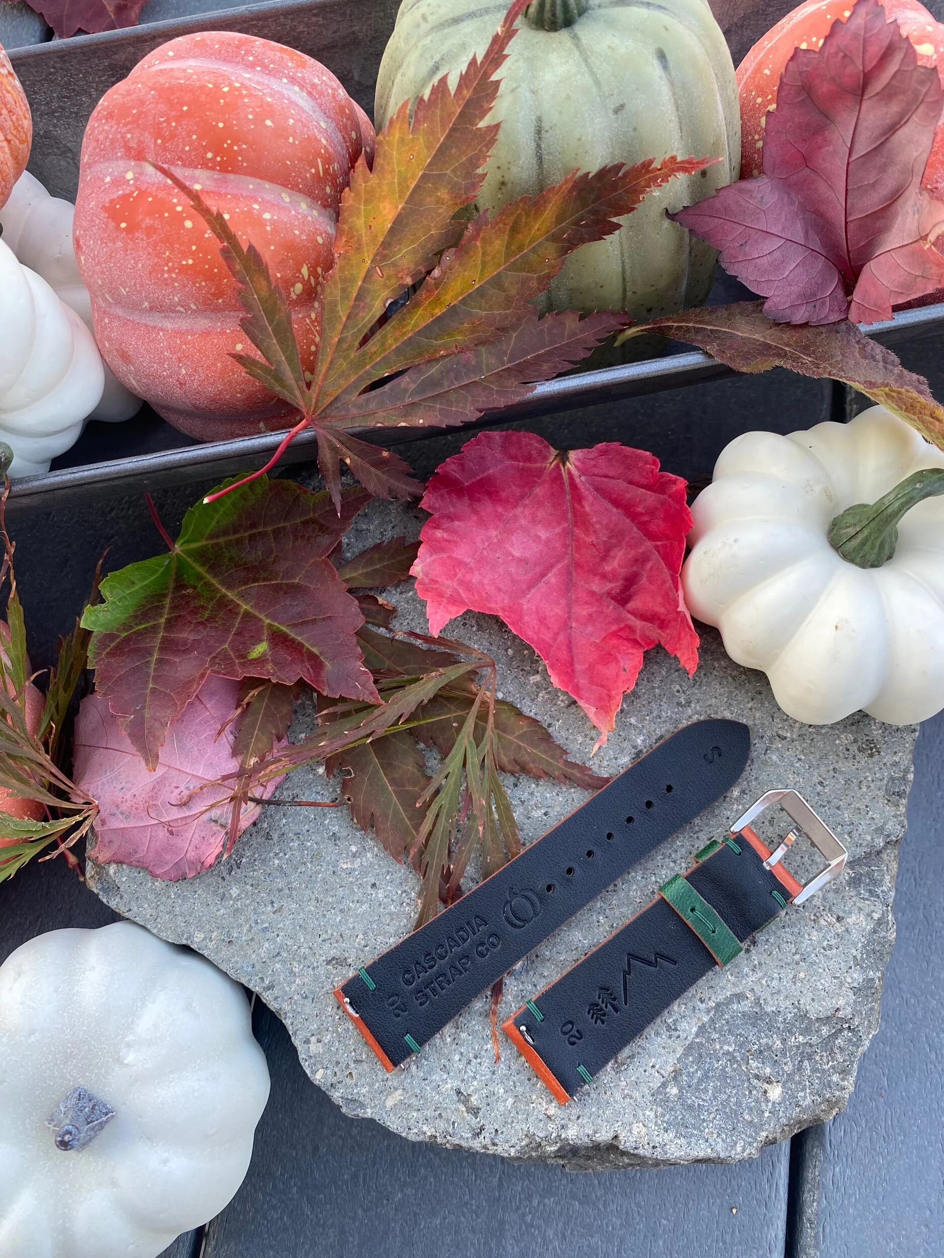 B3B35903-B84C-49DB-A339-42DFD087E612