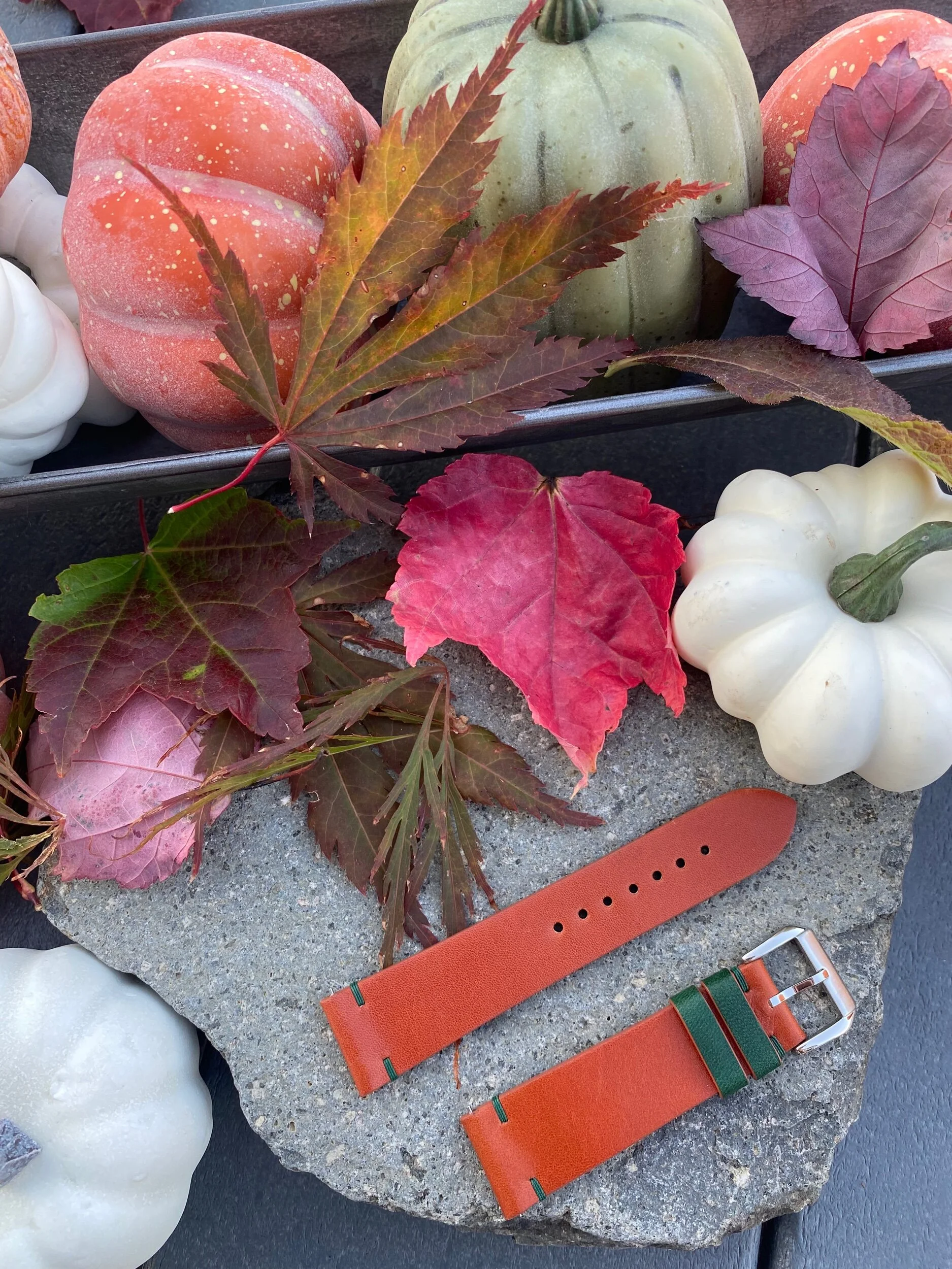 6D7A7C2B-1A5D-4606-9745-2B2911B5EC0F