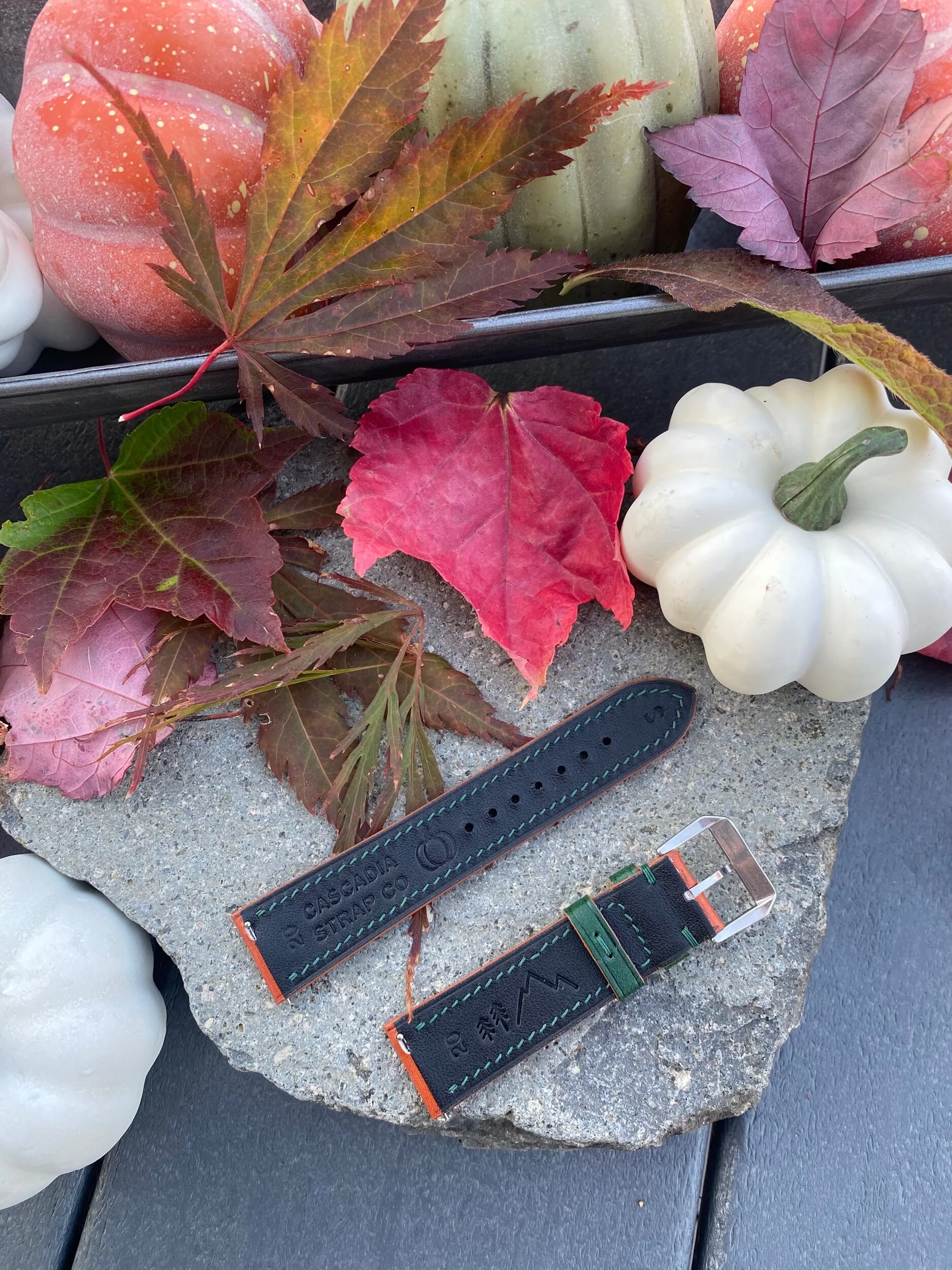 5BAAC0A7-1DD3-47D0-9AC2-4EB762FC342A