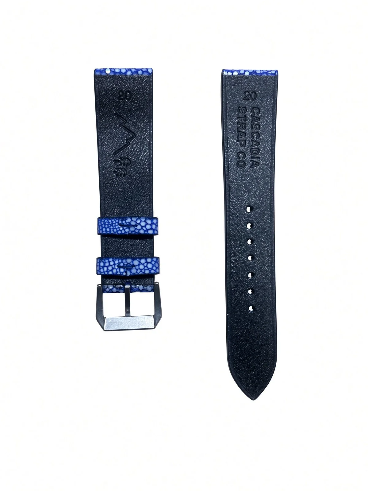 grok-image-340a2cb0-2dd1-4c0a-bd0b-9551d5ed6ddd.jpg