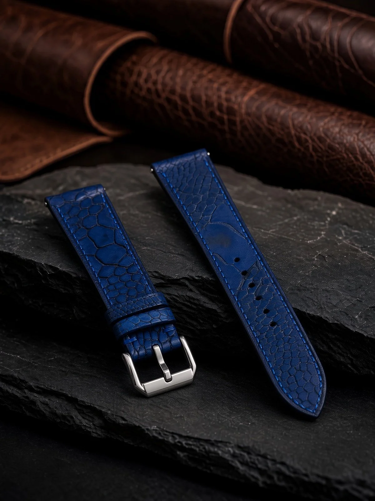 Black and Blue Ostrich