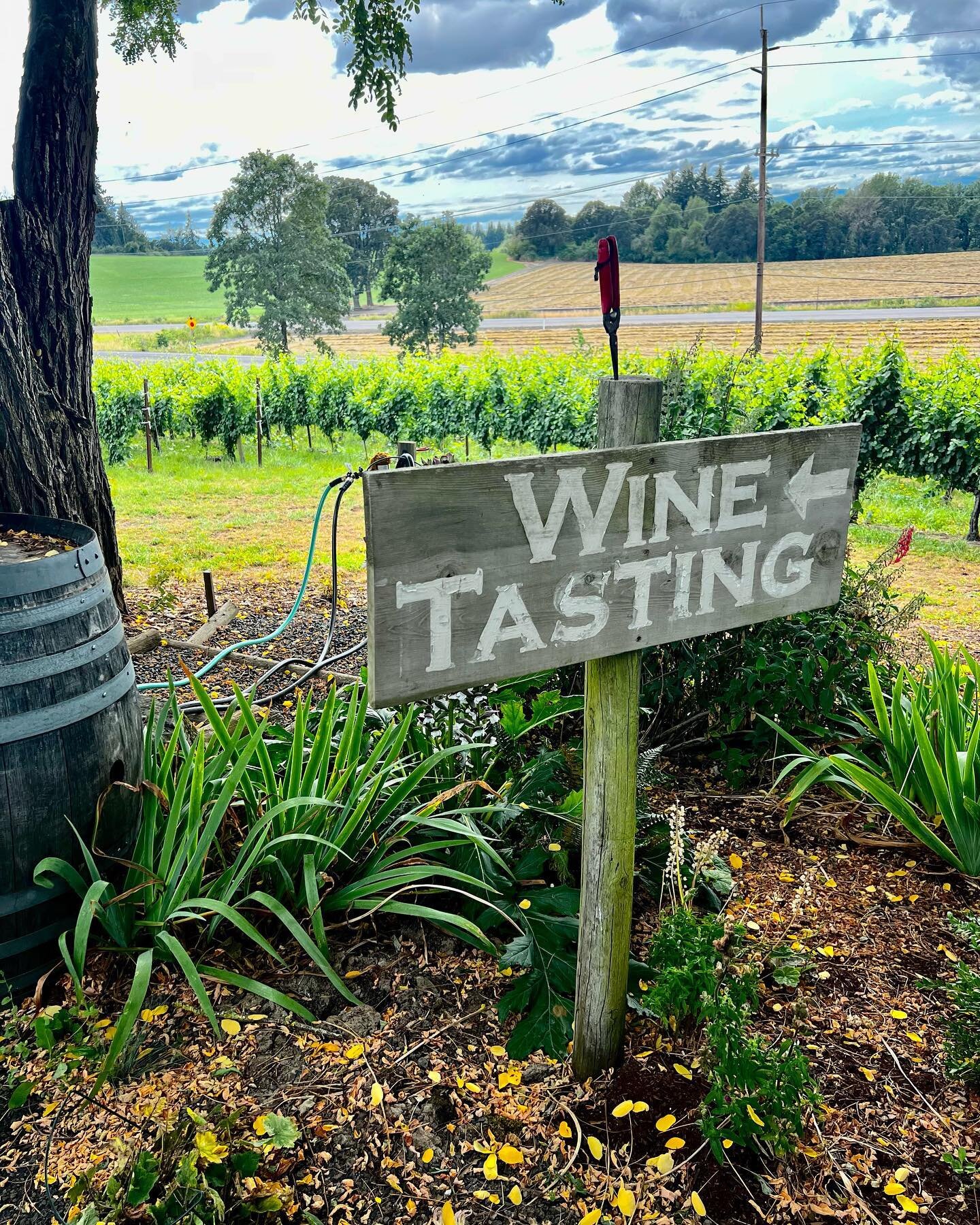 This is your sign to go wine tasting this weekend!🍷

We are open from 11am to 5pm today and tomororw. 

𝑲𝒓𝒊𝒔𝒕𝒊𝒏 𝑯𝒊𝒍𝒍 𝑾𝒊𝒏𝒆𝒓𝒚
#thisisyoursign #summer #summersips #heatwave #sunshine #enjoyeverysip #wineenthusiast #eolaamityhillsava #e