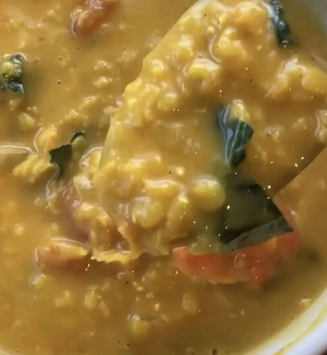 A spoonful of red lentil and kale curry with tomatoes