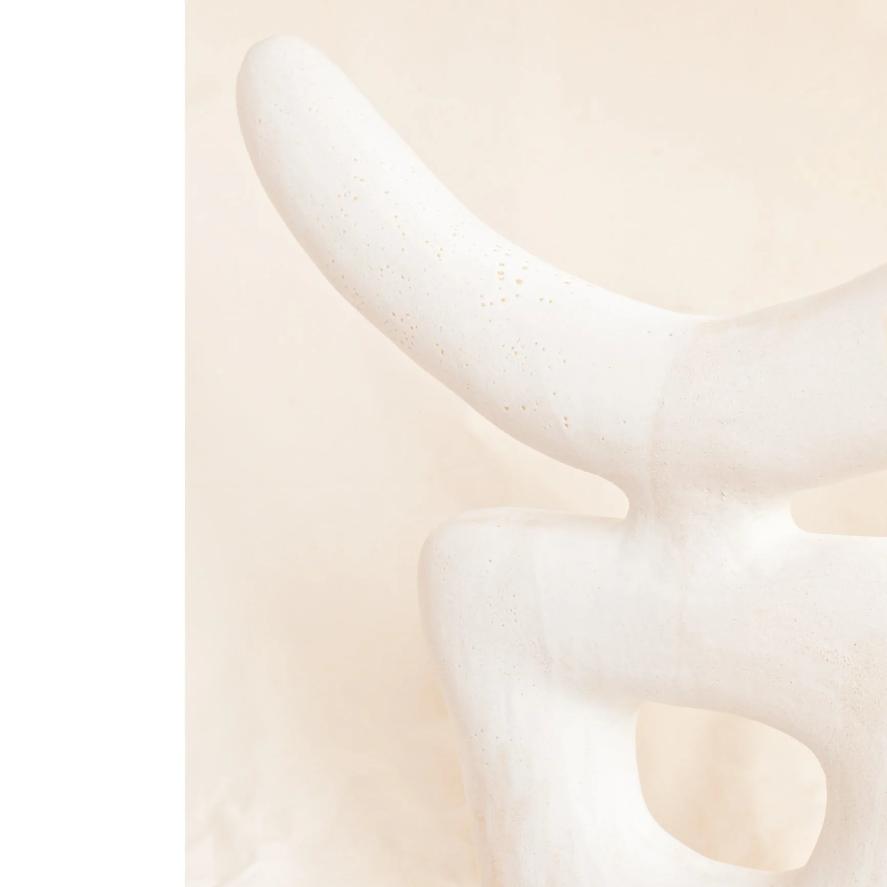 Toro with horns_2.4.jpg