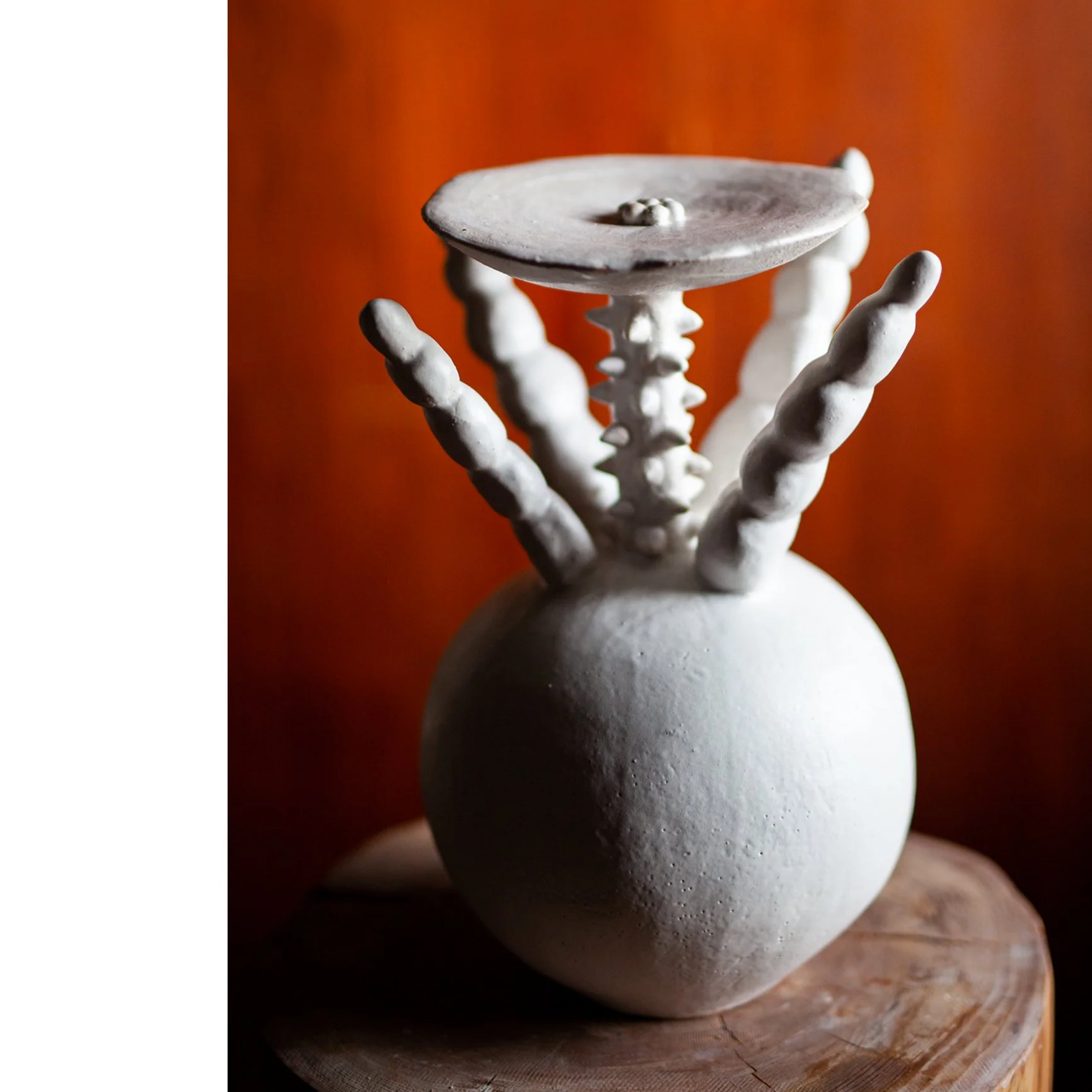 Bonsai 15_Tree peony .jpg