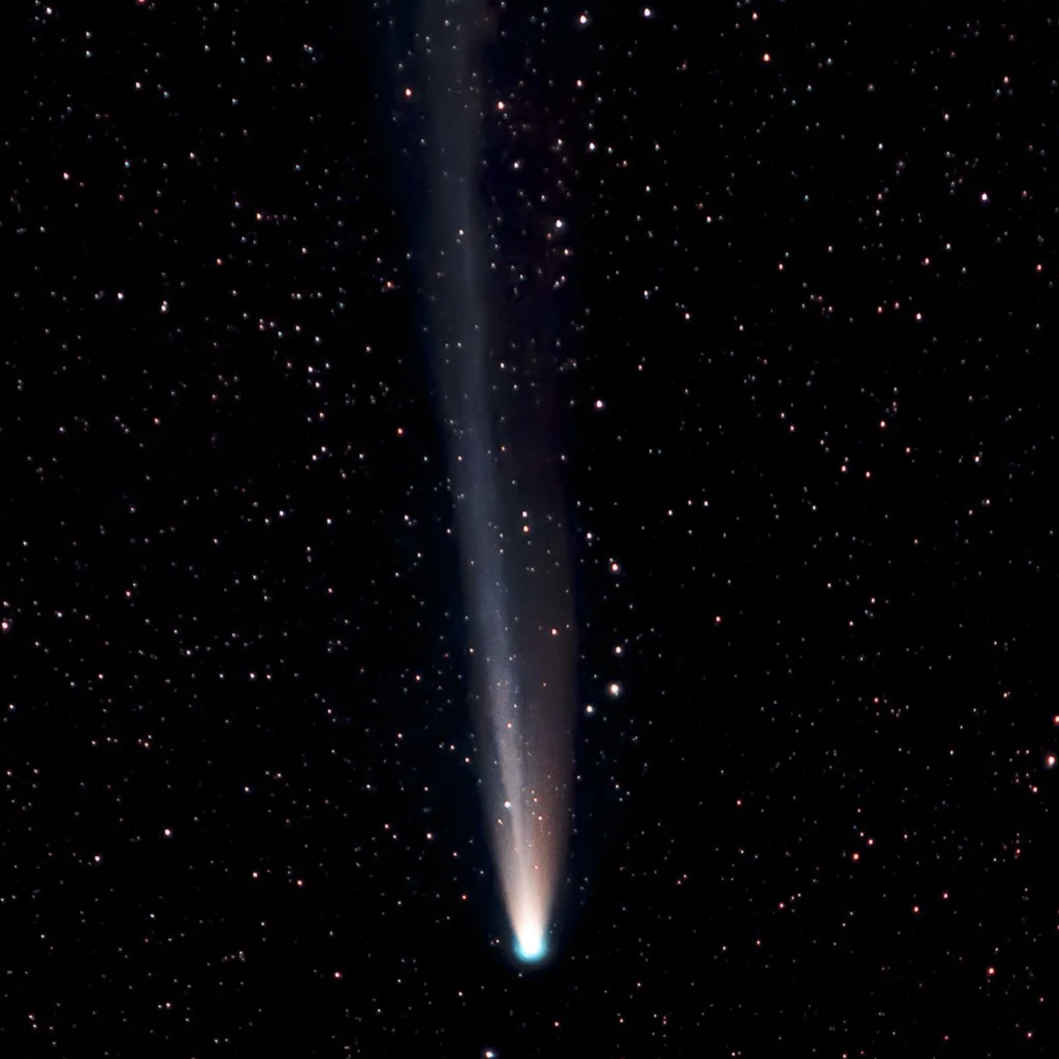 An obsession with a comet