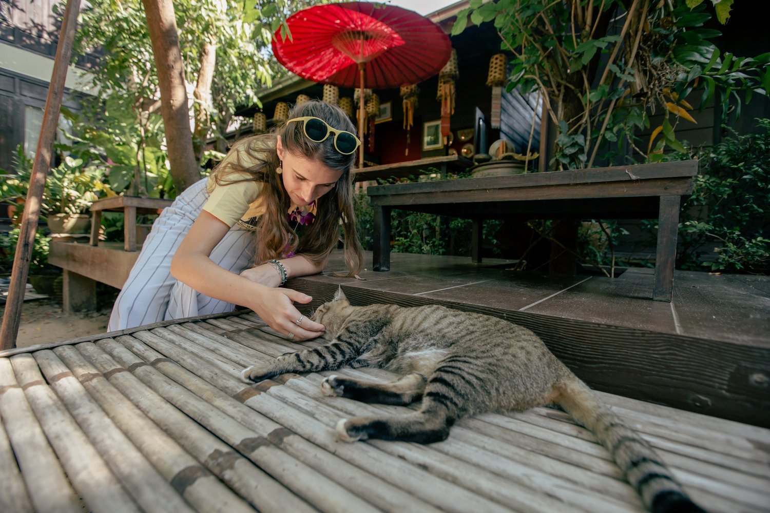 Kids ENglish Thailand Thai Cat.jpg