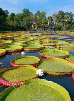 Visa Run Trip laos KET Kids English Thailand.jpg