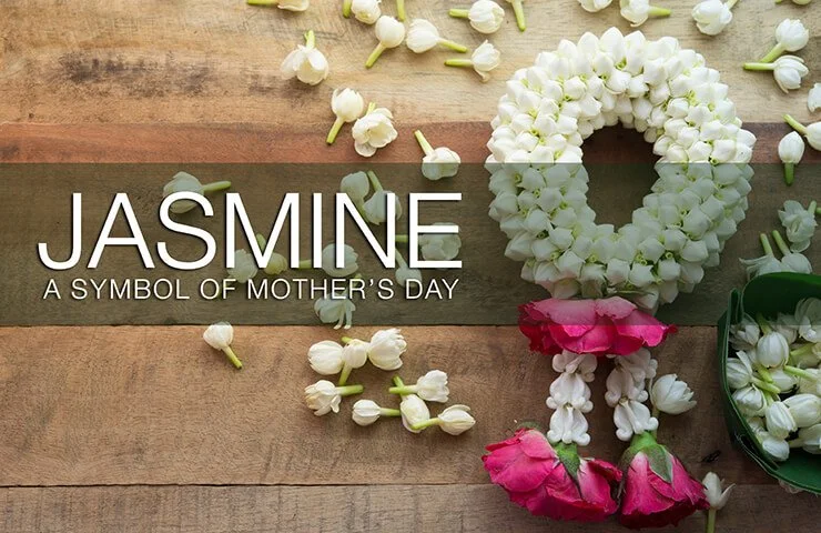 Thai Jasmine Flowers and Garlands for Mother's Day
