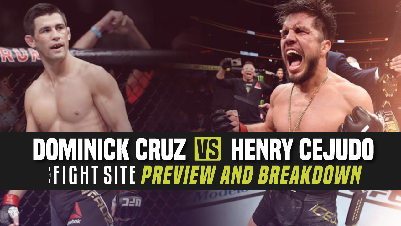 UFC 249 Video Breakdown: Dominick Cruz vs. Henry Cejudo