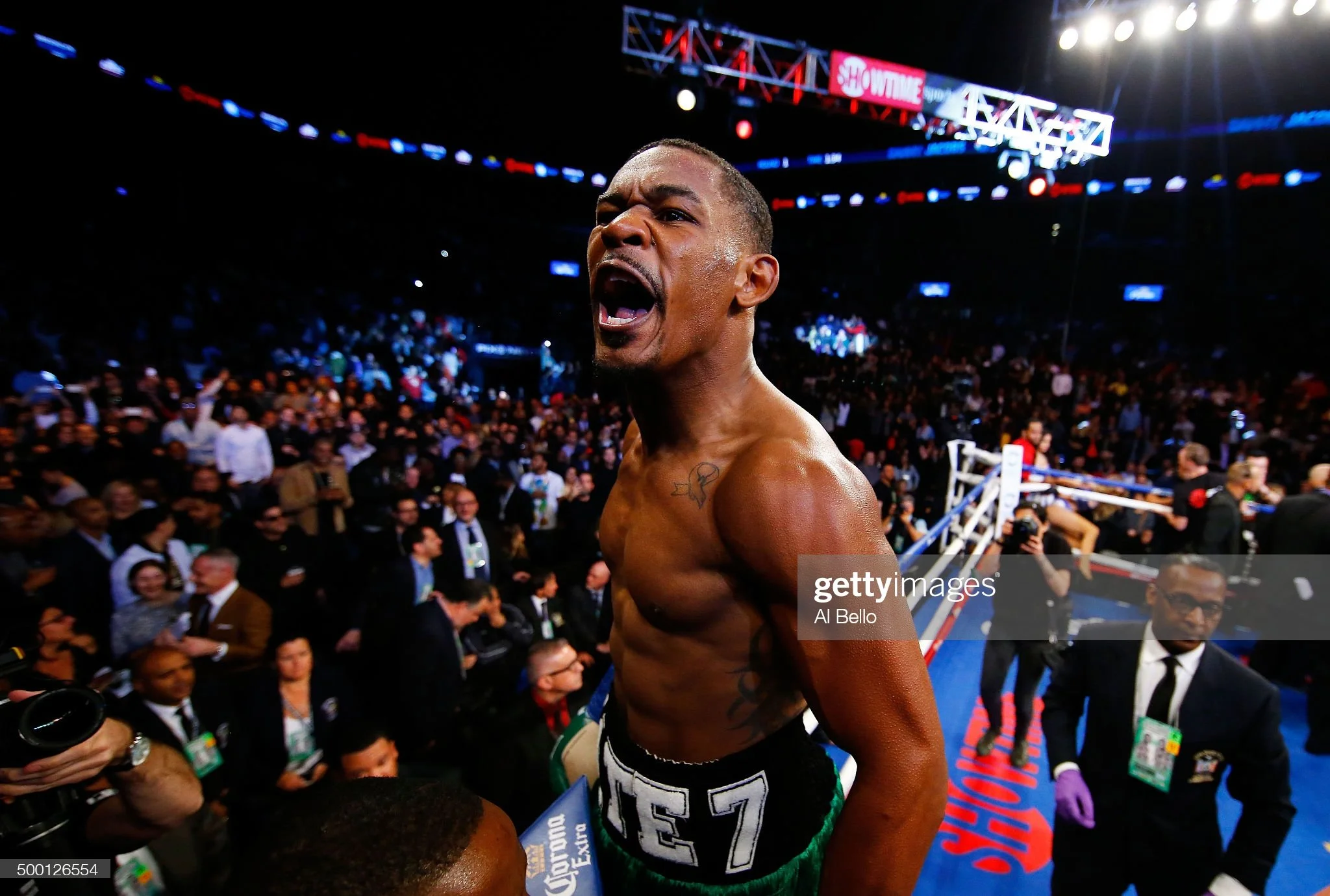 Boxing Preview, 12th February 