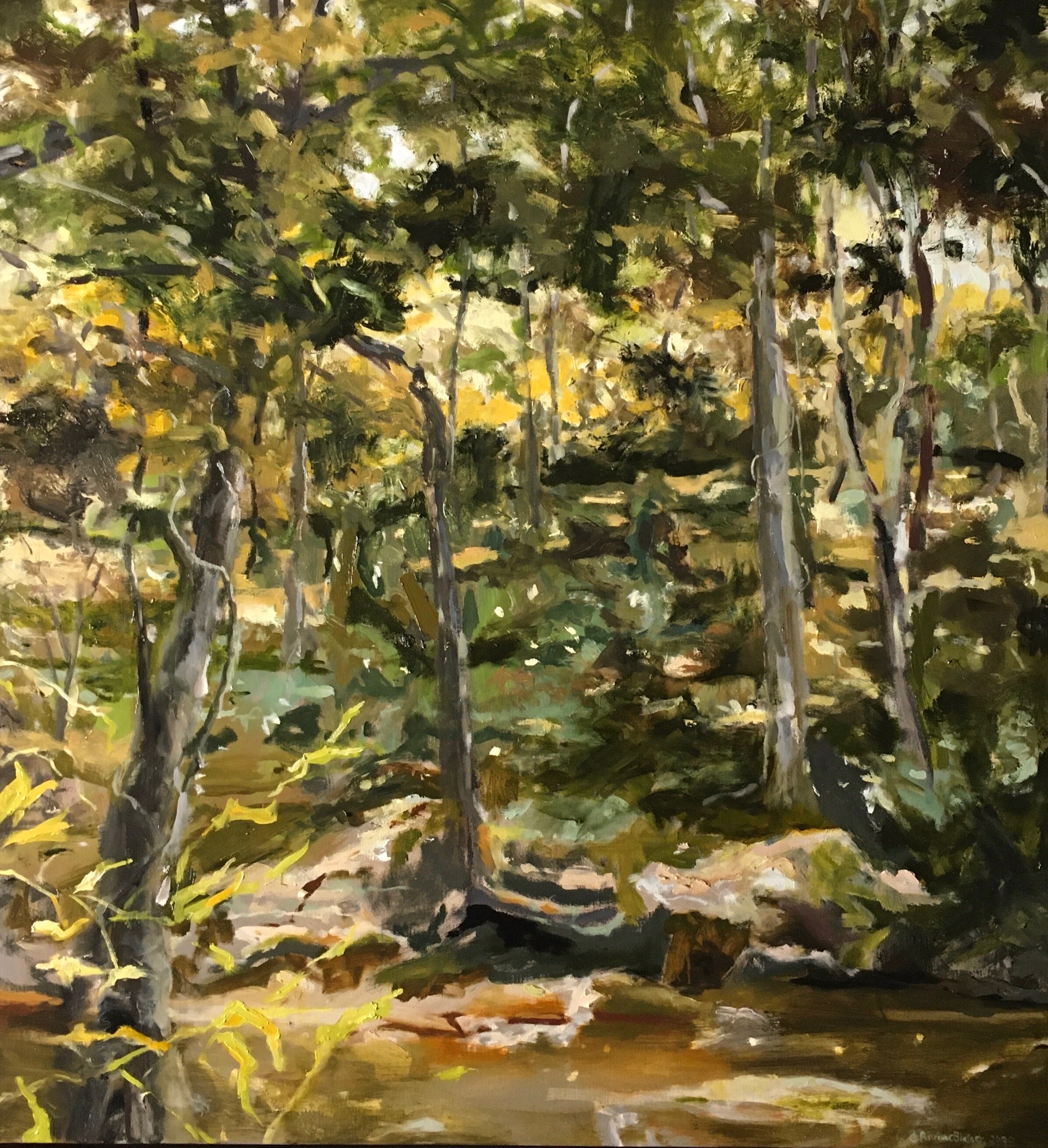 BRIAR CREEK, Oil on Canvas, 2020, 50”x50”