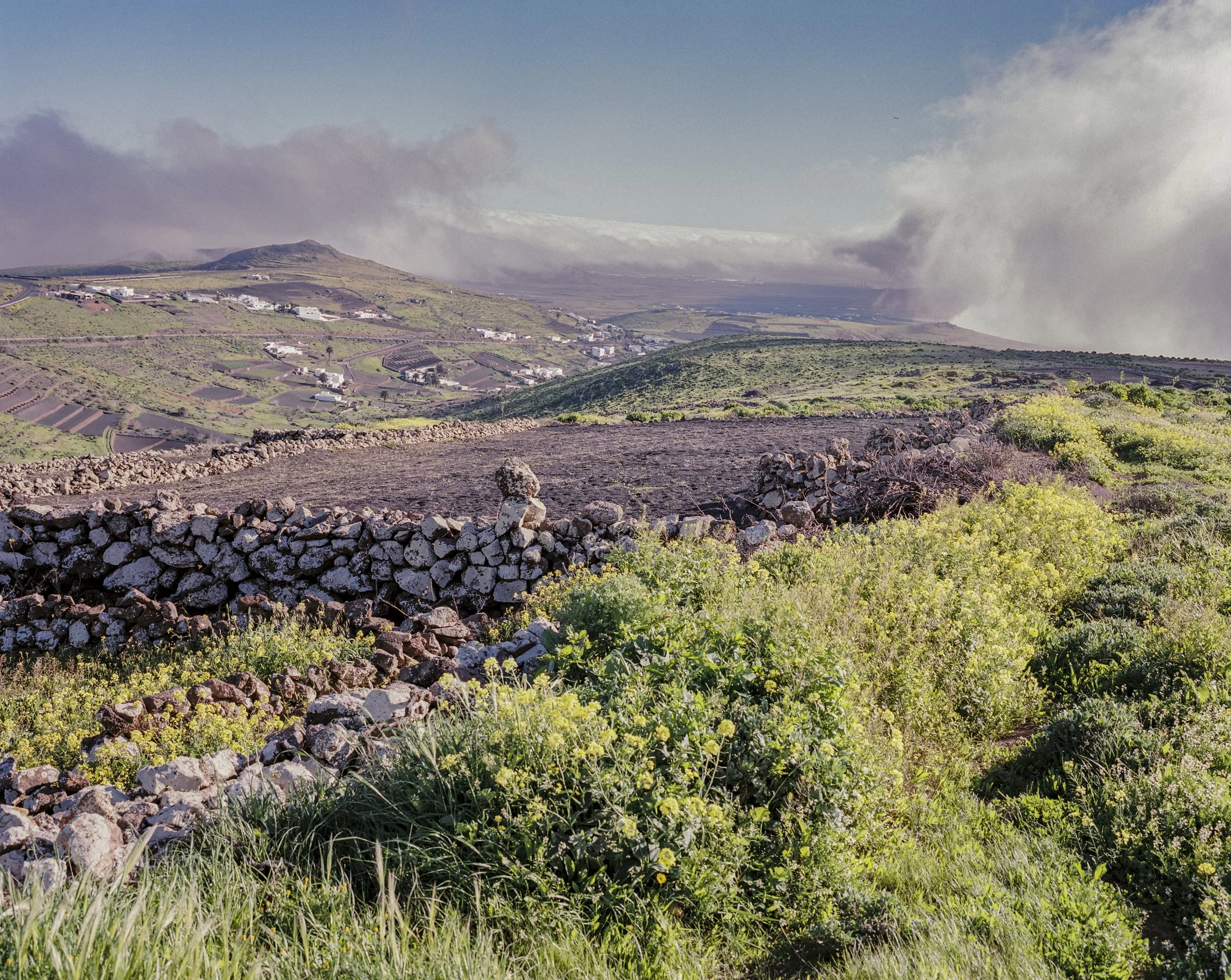 lanzarote website-20.jpg