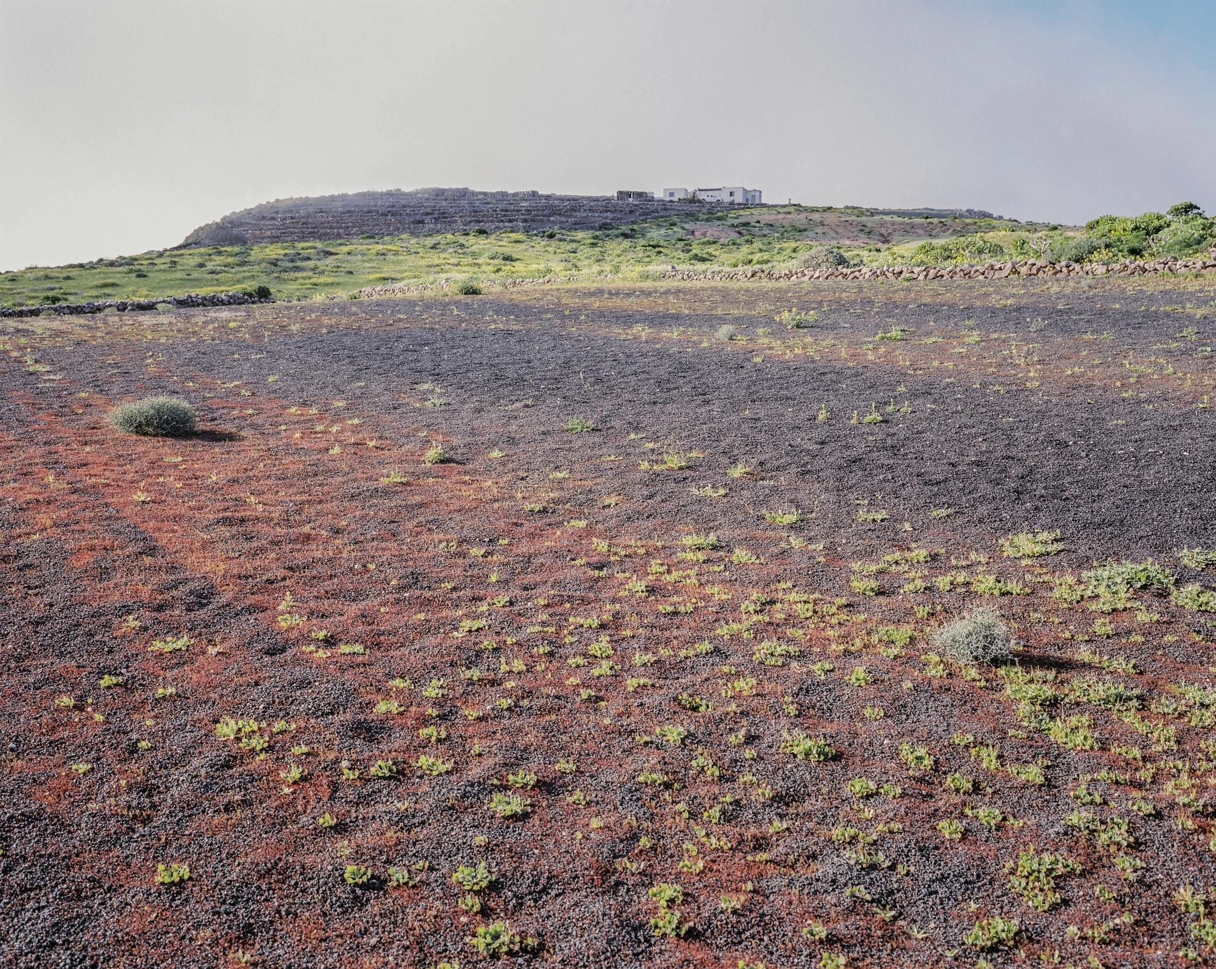 lanzarote website-21.jpg