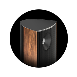 Another Amazing Review