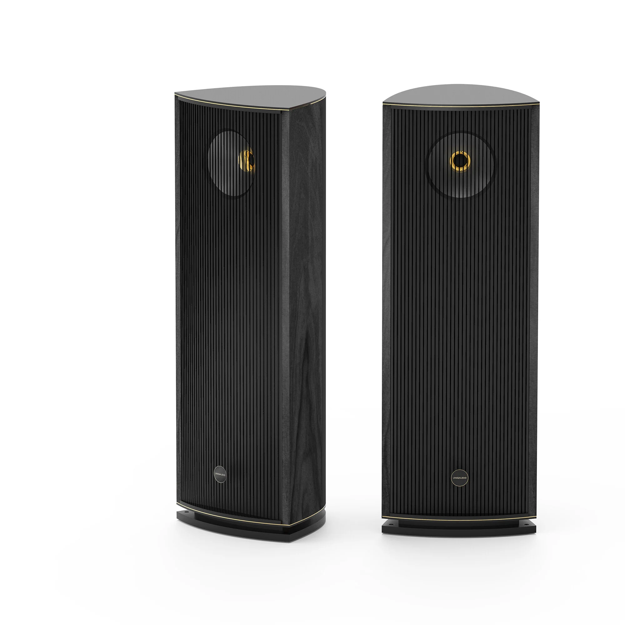 Model ONE - WOOD BLACK ASH VENEER - Gold plated - 001 copy.jpg