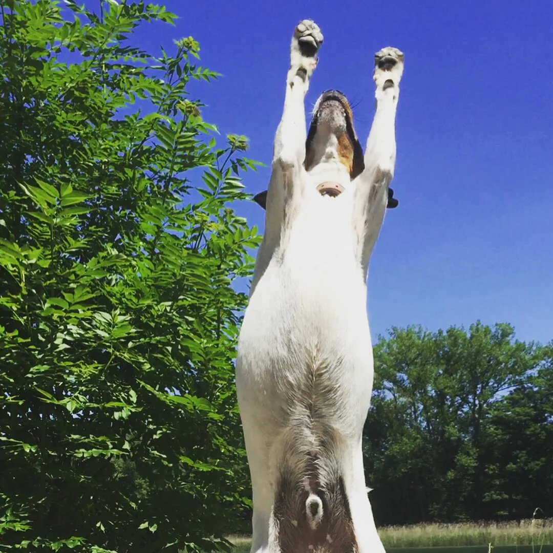 Tricks im Alltag und wie sie uns helfen können.