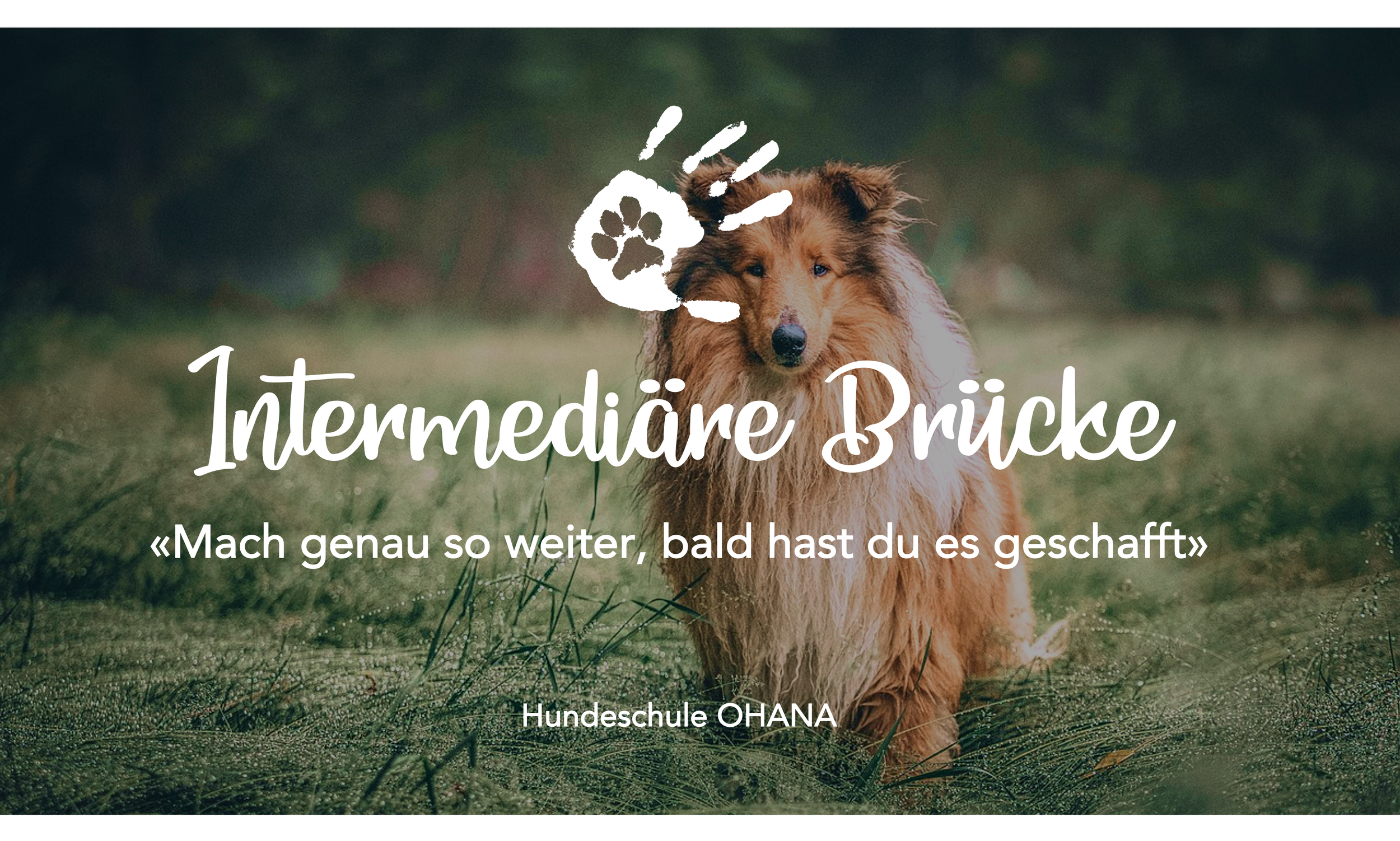 Die Intermediäre Brücke 