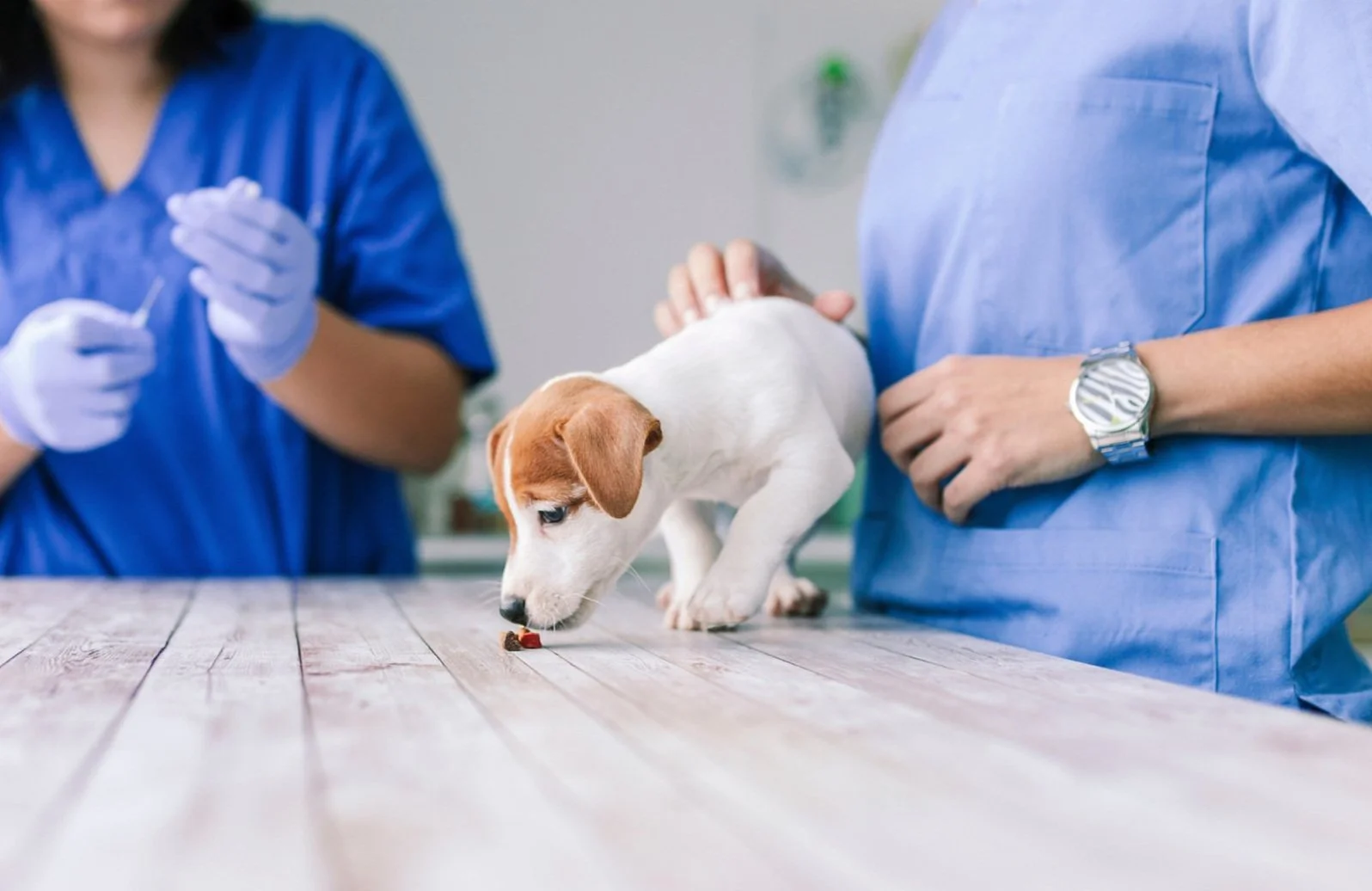 Online-Workshop | Medical Training