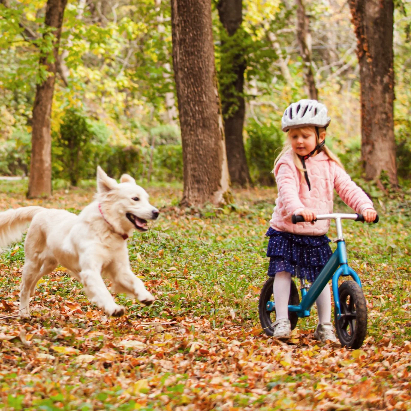 Kind mit Helm fährt auf einem Laufrad im Wald, während ein Hund daneben läuft.